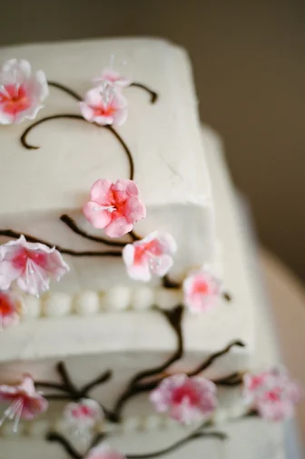 Vacaville Wedding Photographer