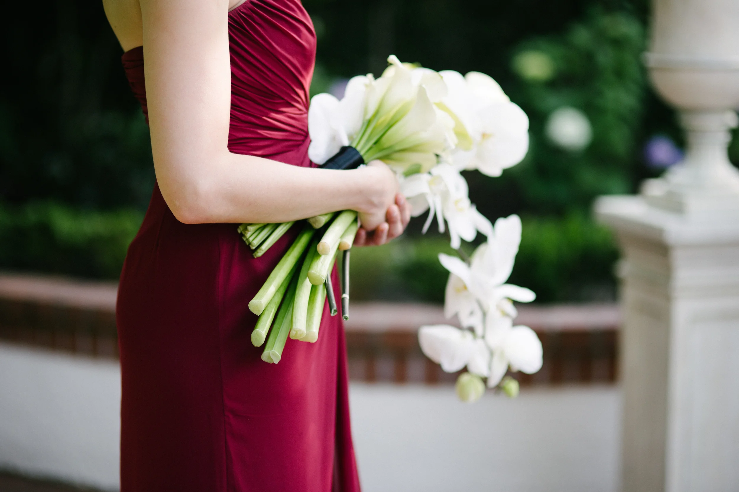 SJWED0588.jpg