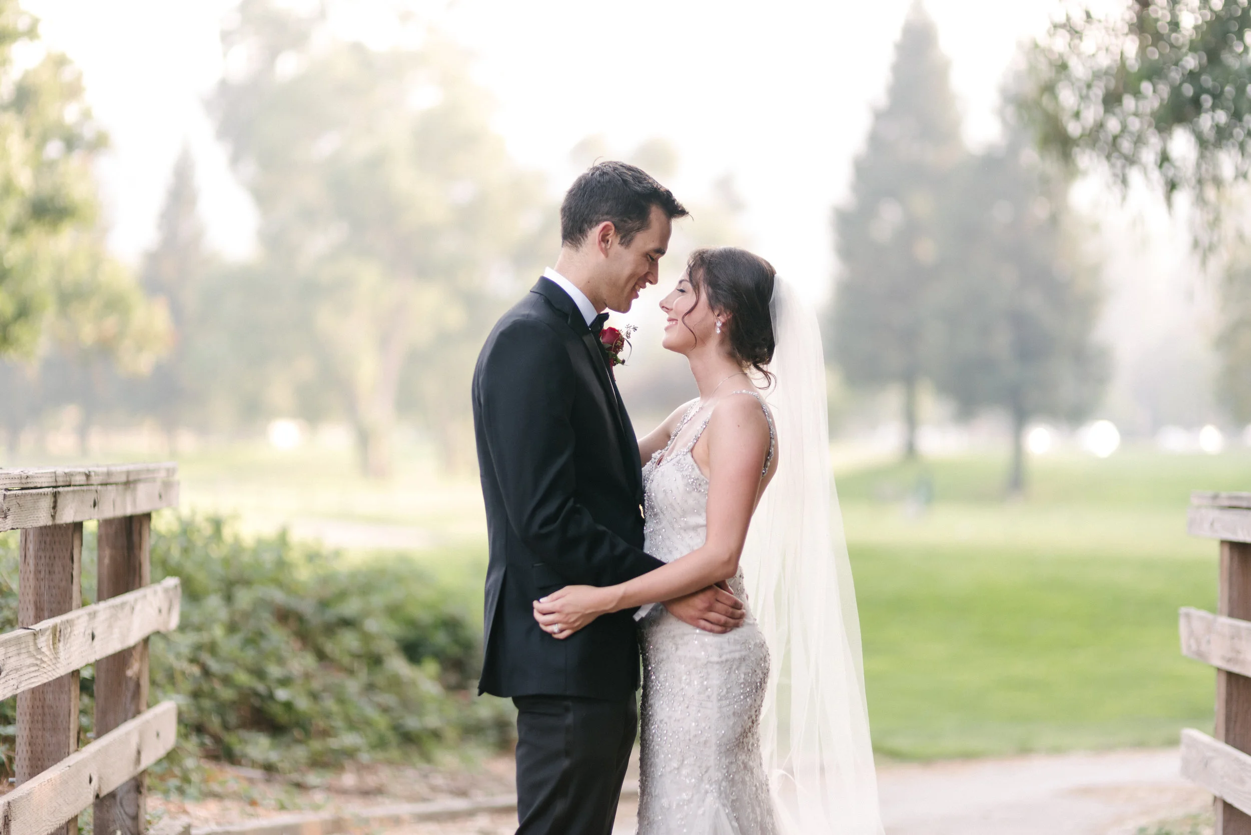 dgwedding-420.jpg