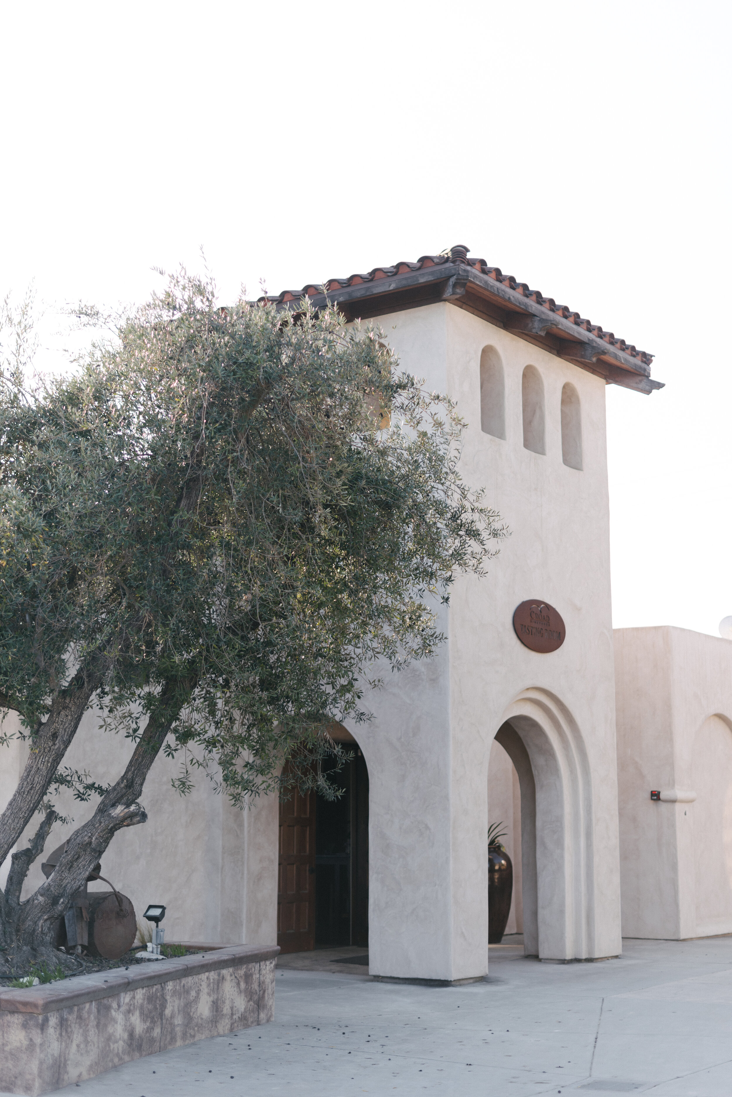 Napa Elopement Photographer