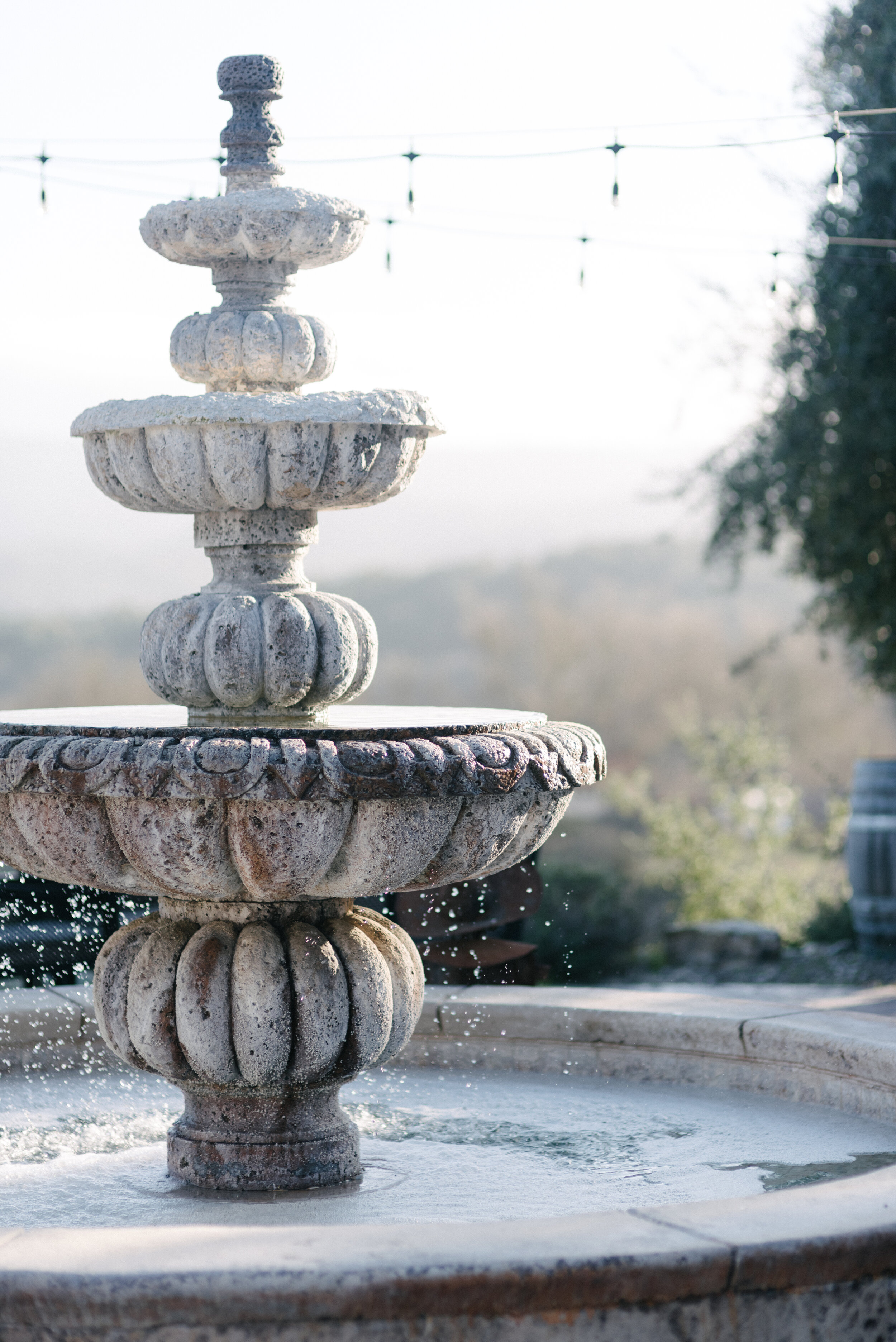 Napa Elopement Photographer