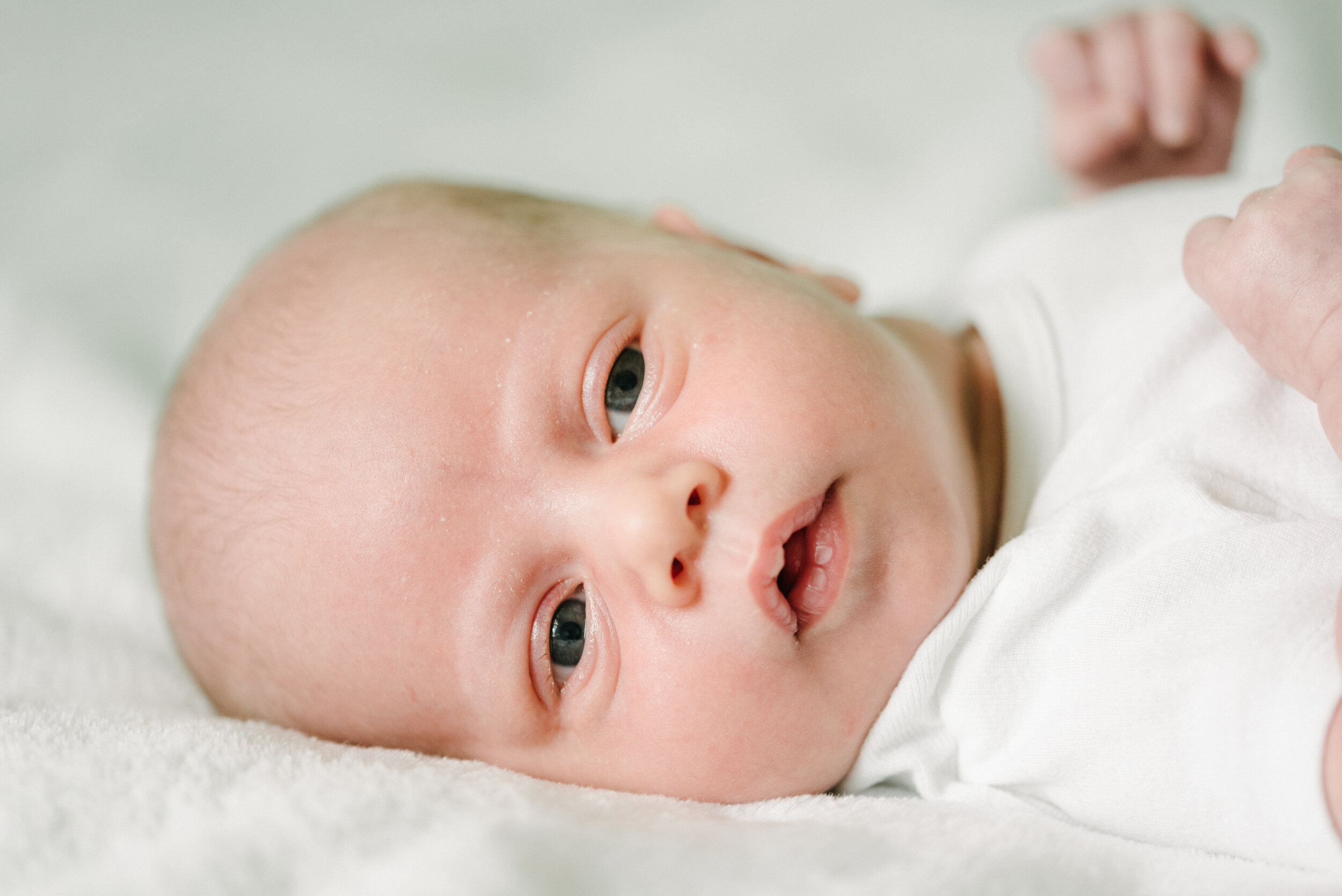 Napa Newborn Photographer