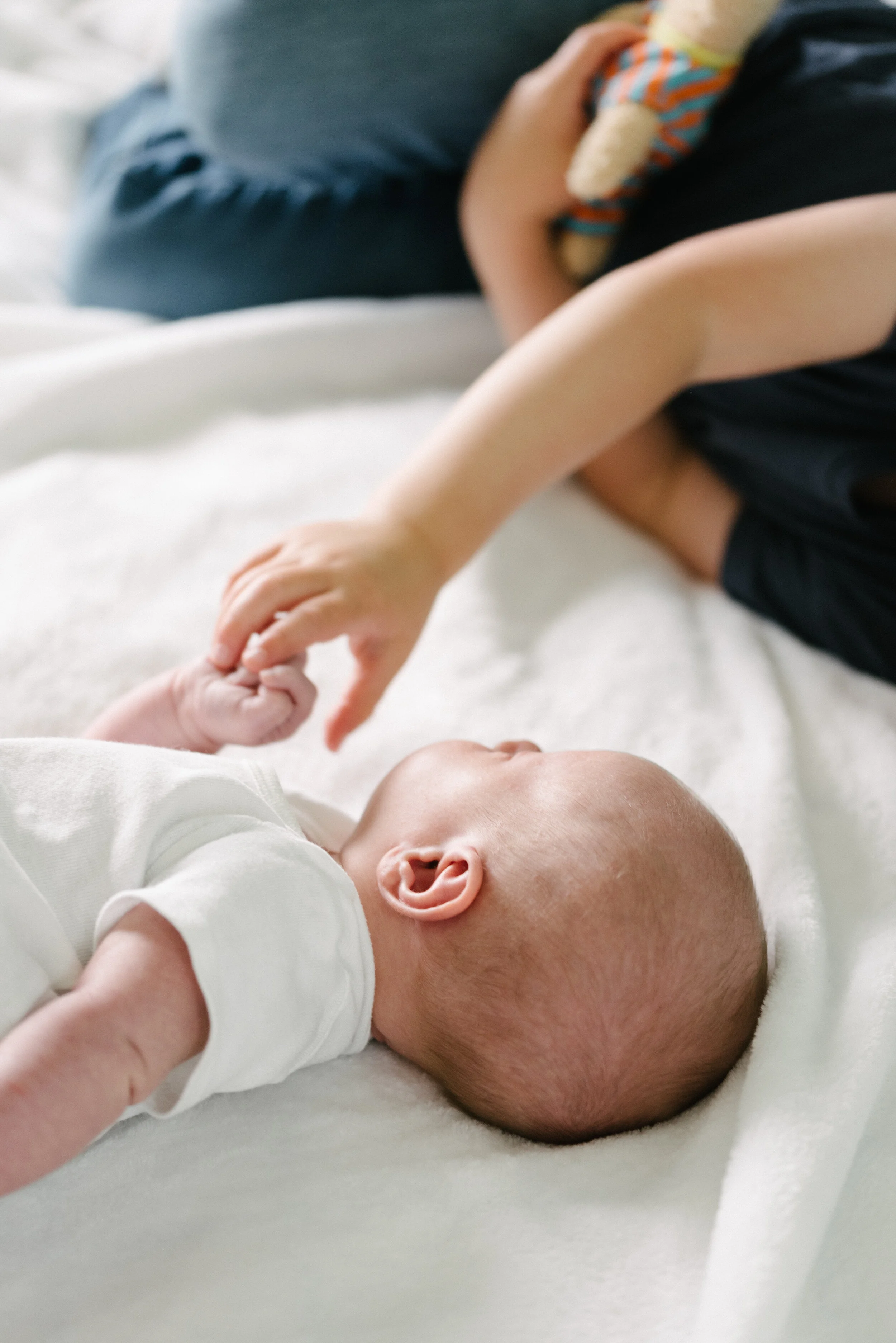 Napa Newborn Photographer