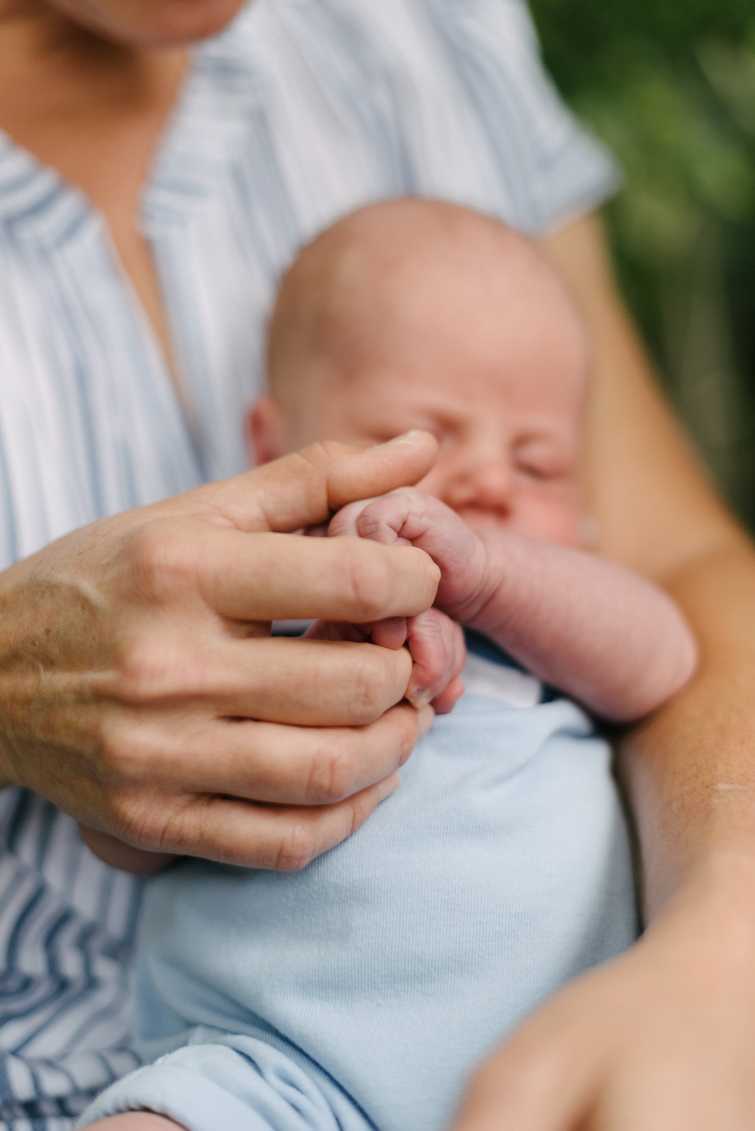 Napa Newborn Photographer