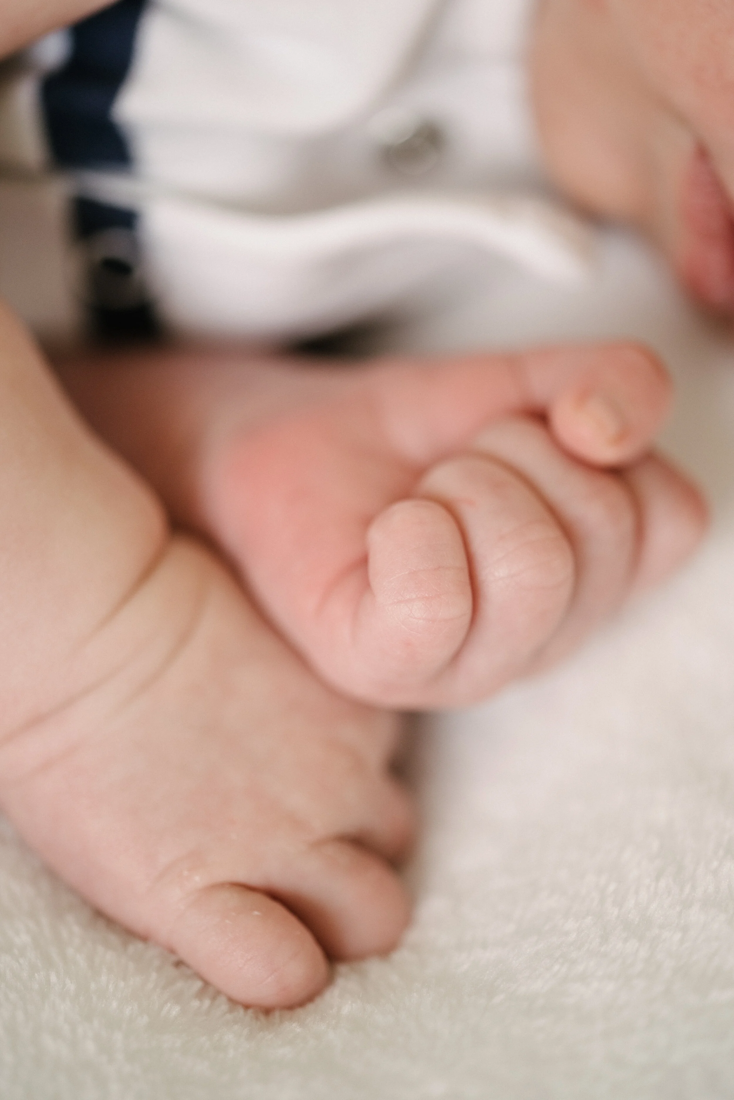 Napa Newborn Photographer