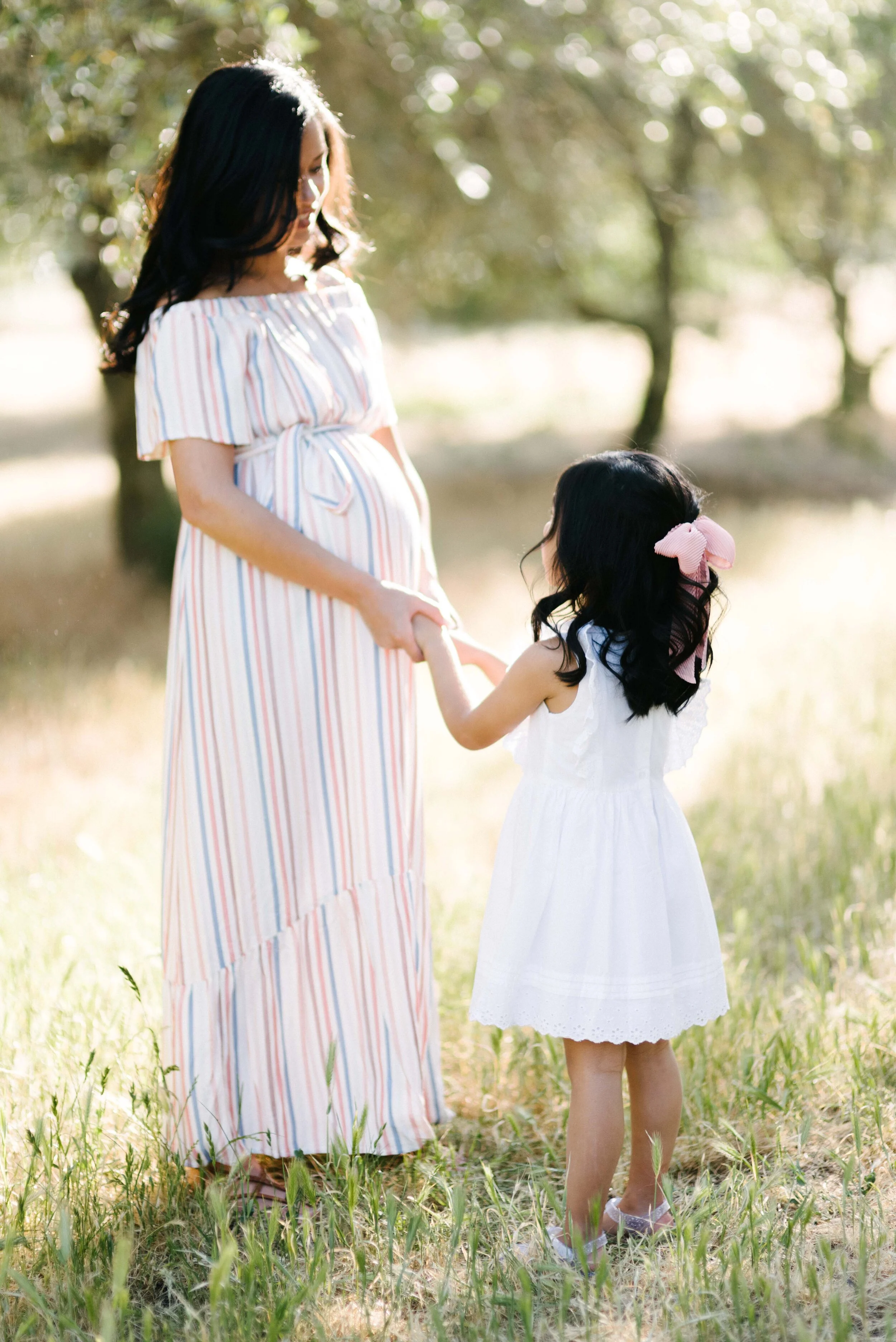 Vallejo Family Photographer