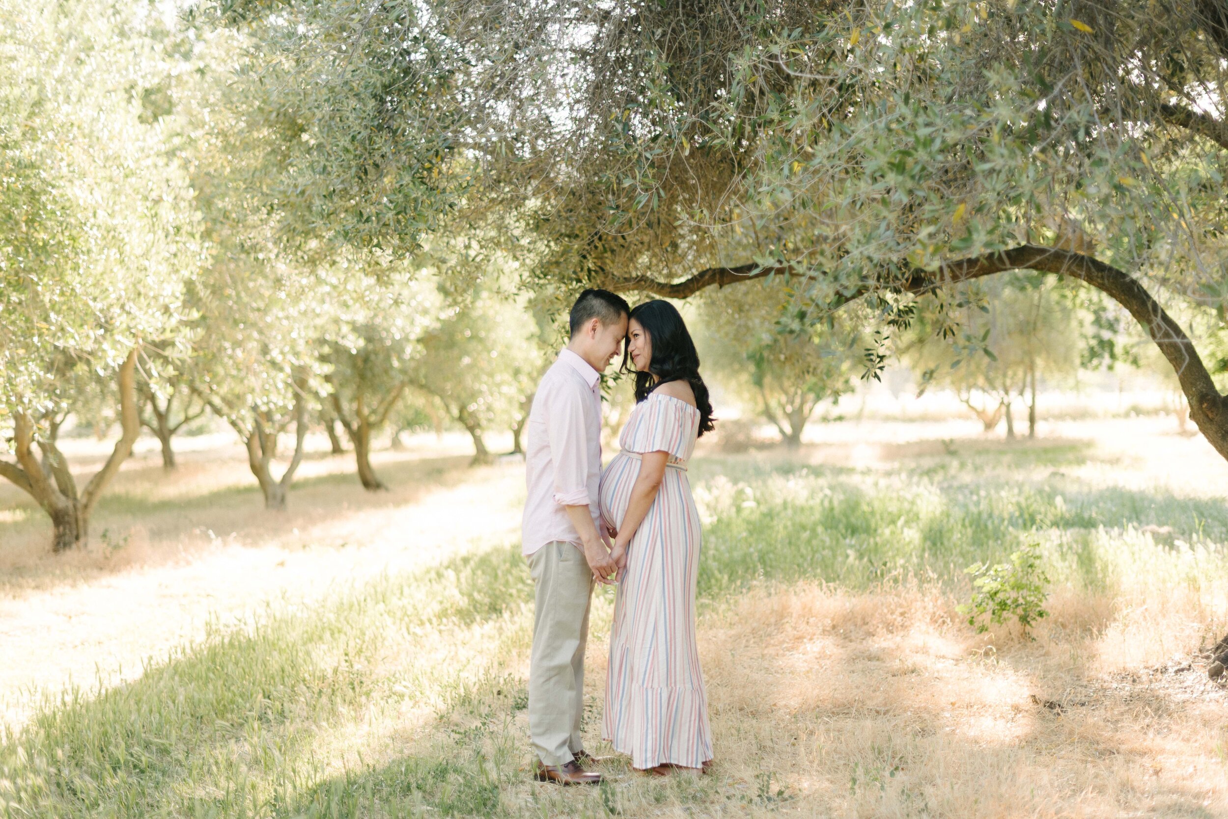 Vallejo Family Photographer