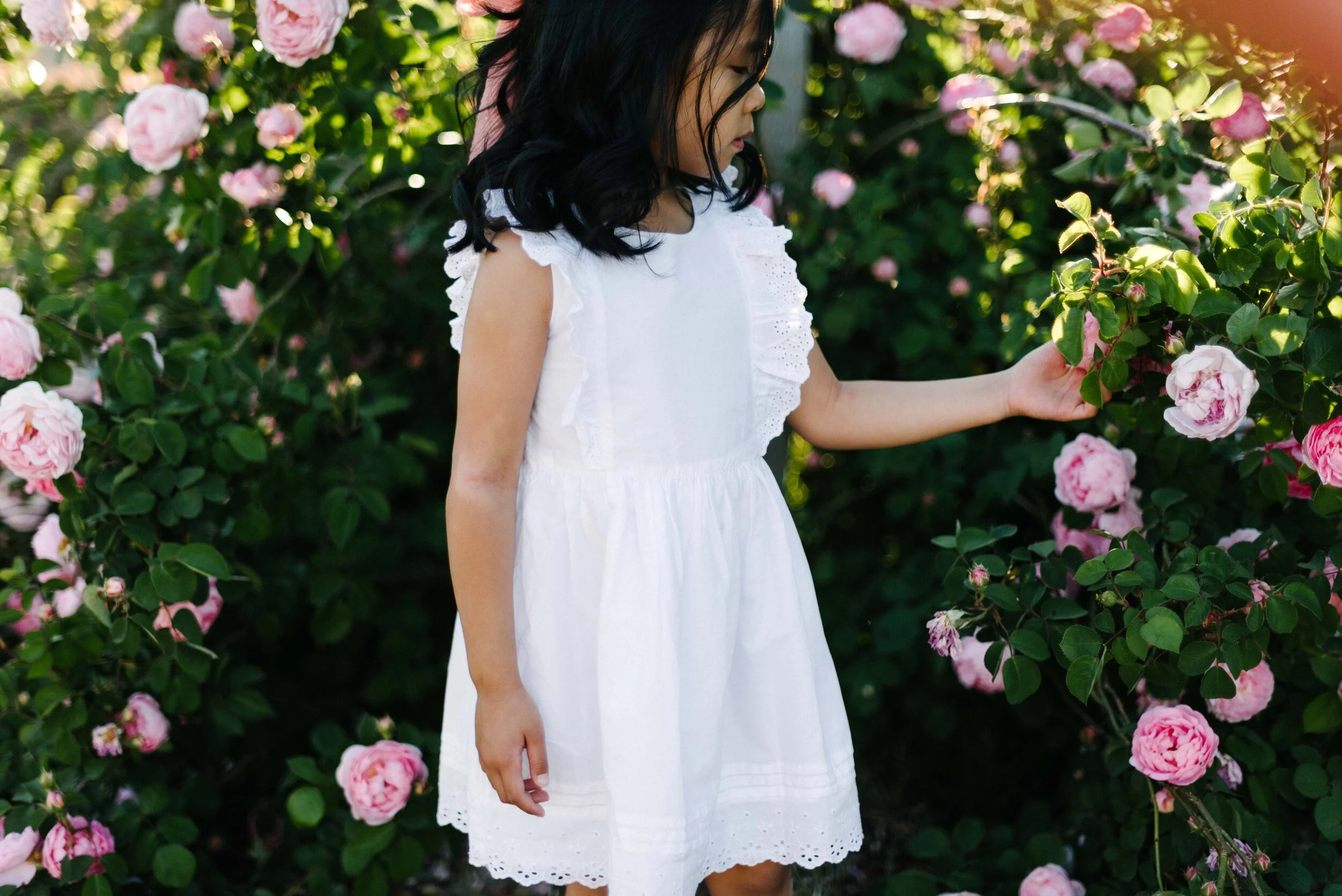 Vallejo Family Photographer