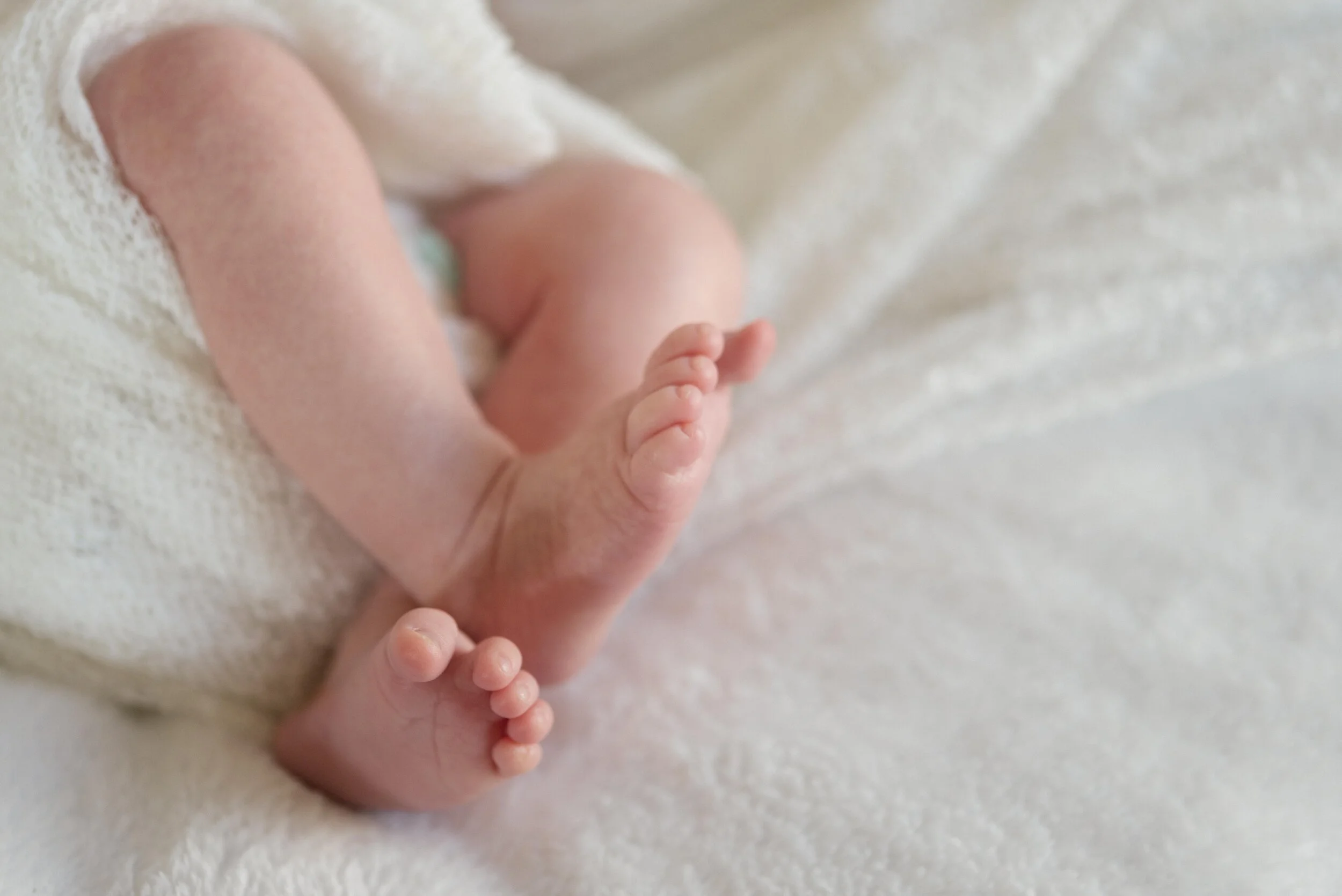 Napa Newborn Photographer