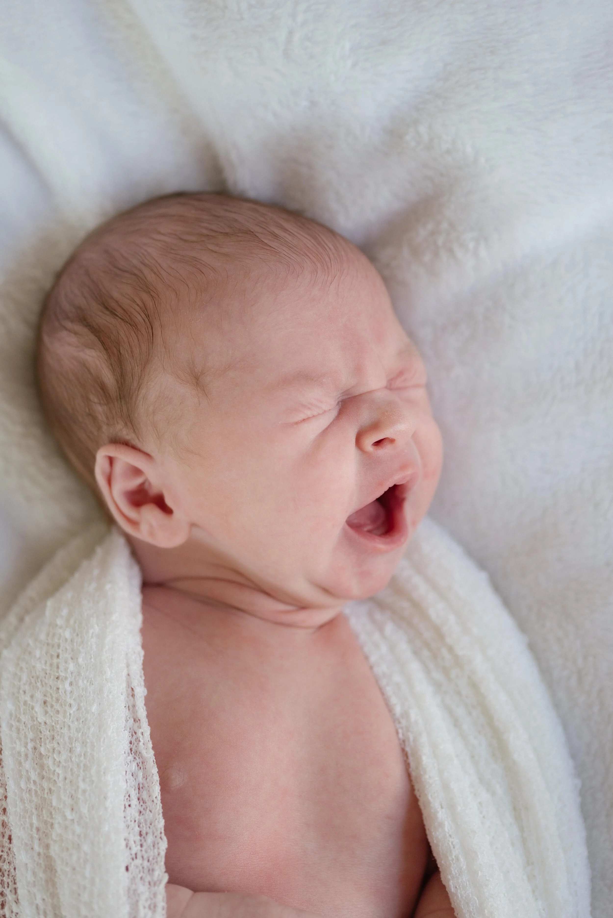 Napa Newborn Photographer