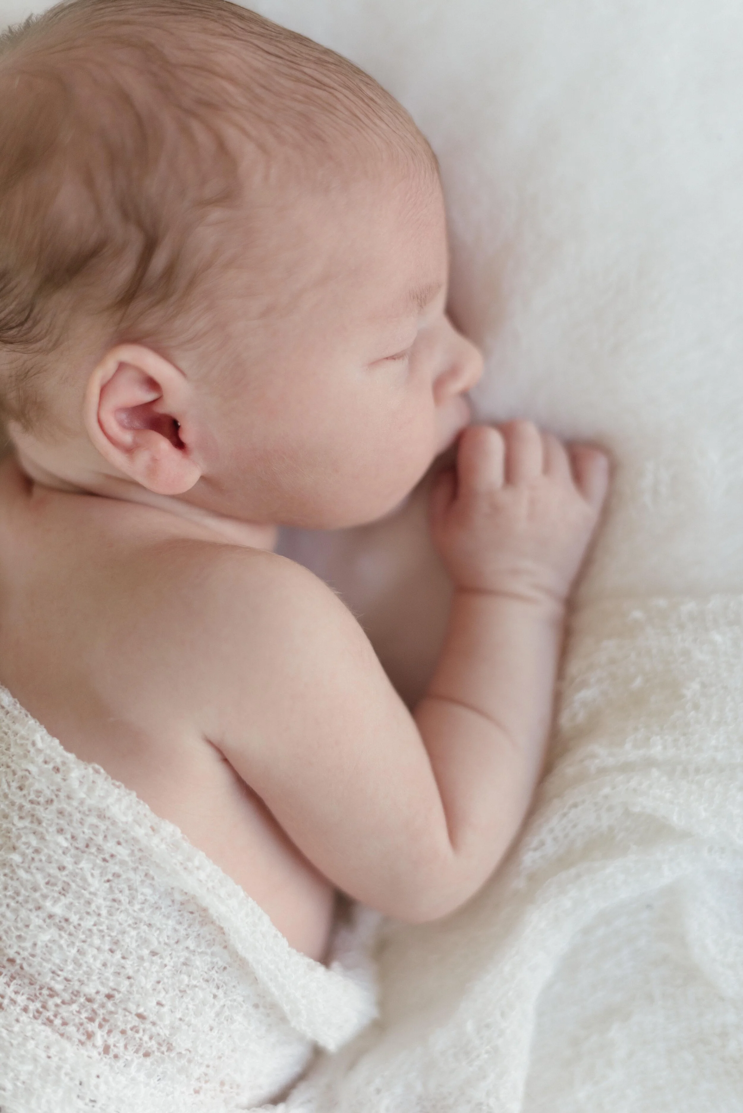 Napa Newborn Photographer