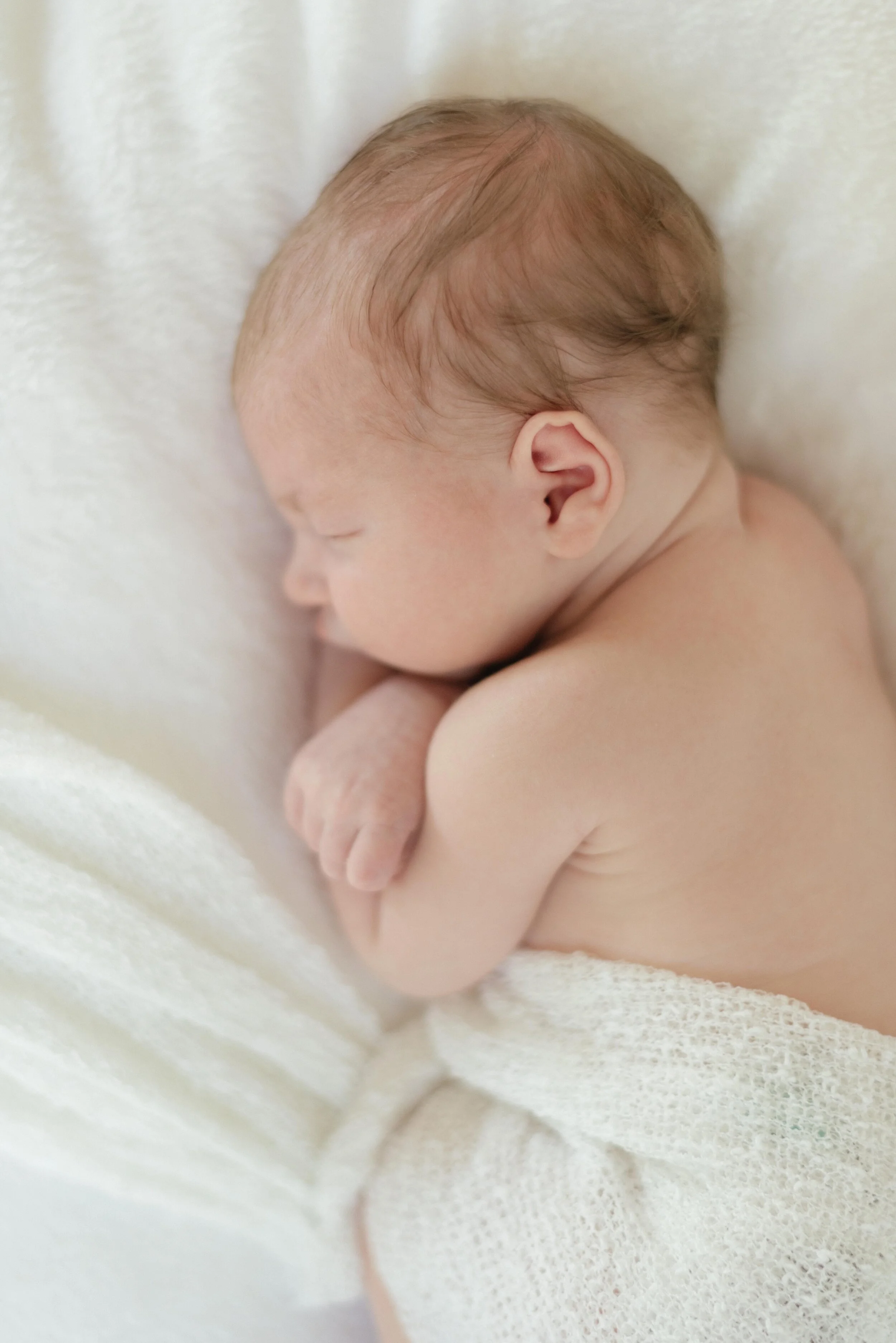 Napa Newborn Photographer