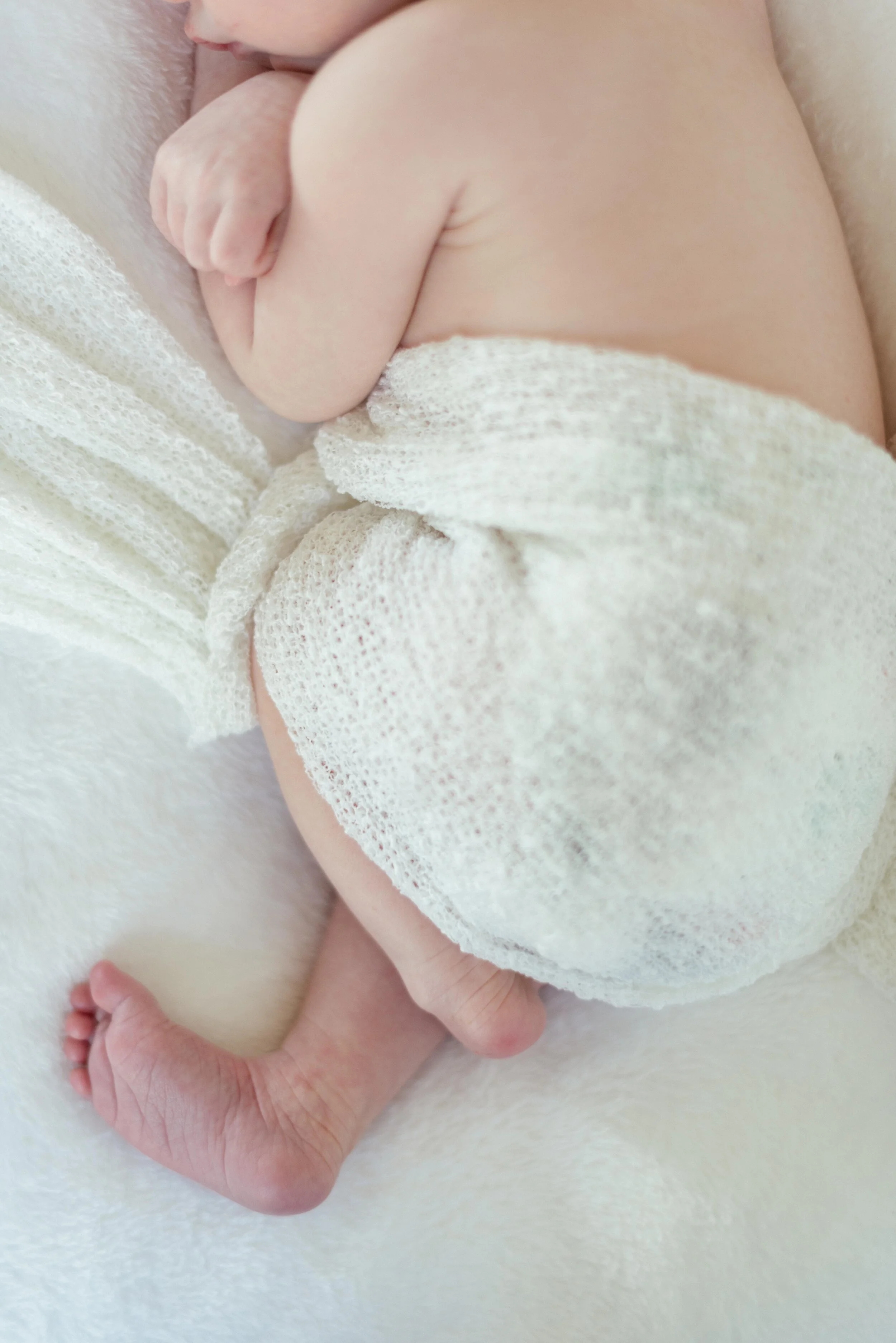 Napa Newborn Photographer