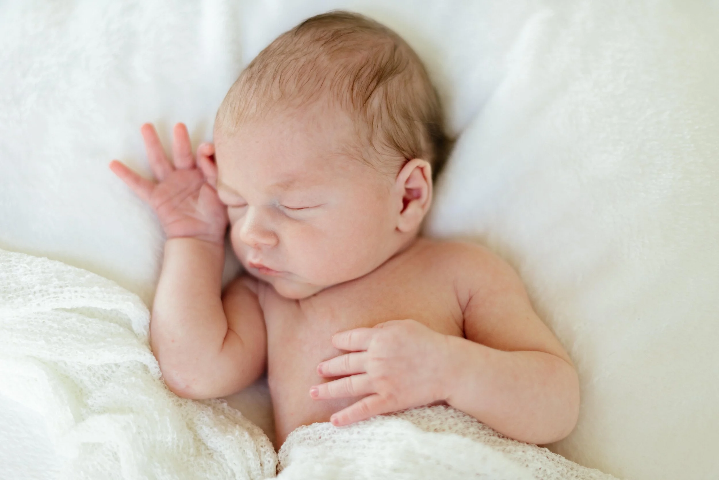 Napa Newborn Photographer