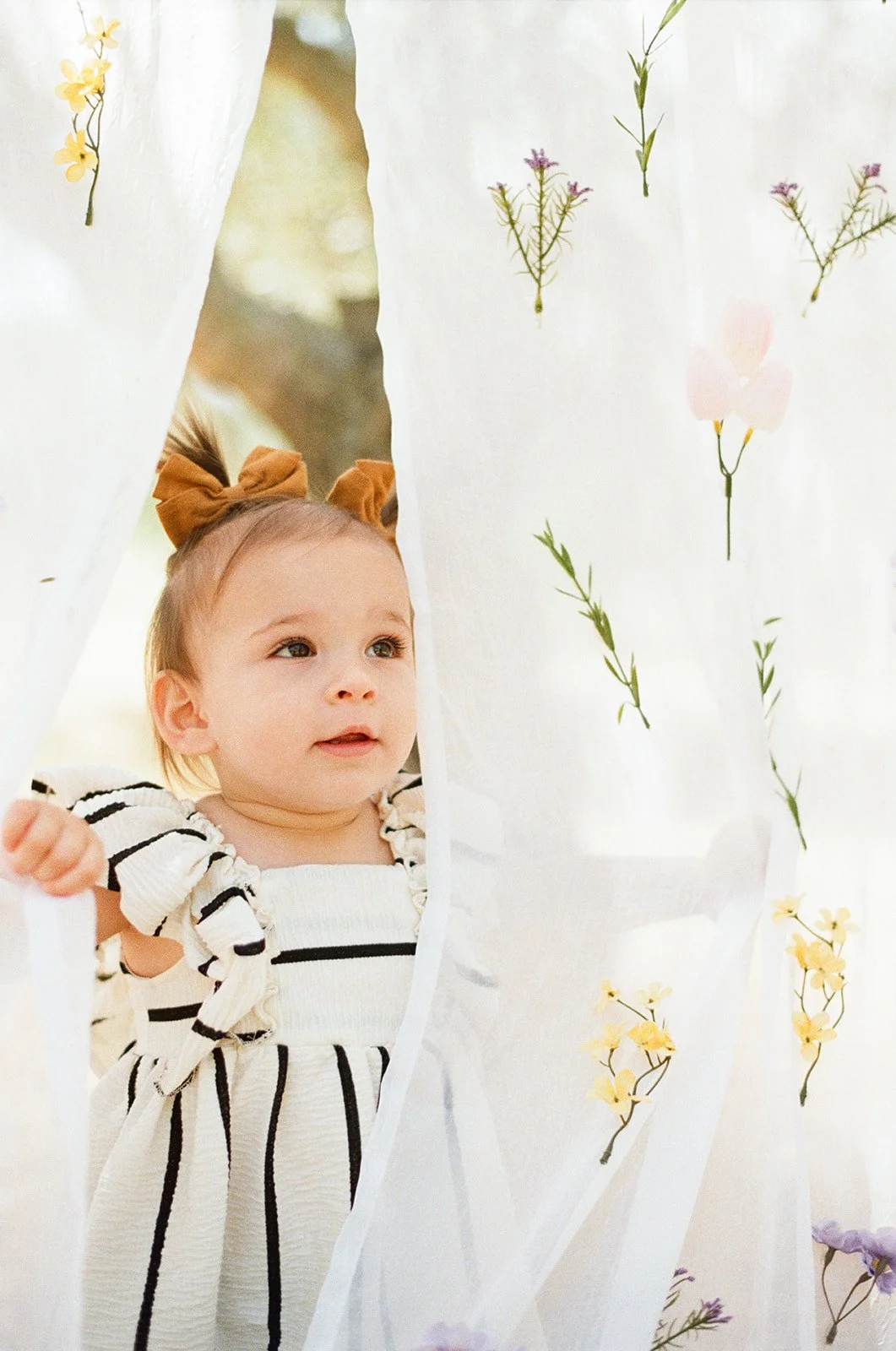 A Springtime Session in Vacaville 