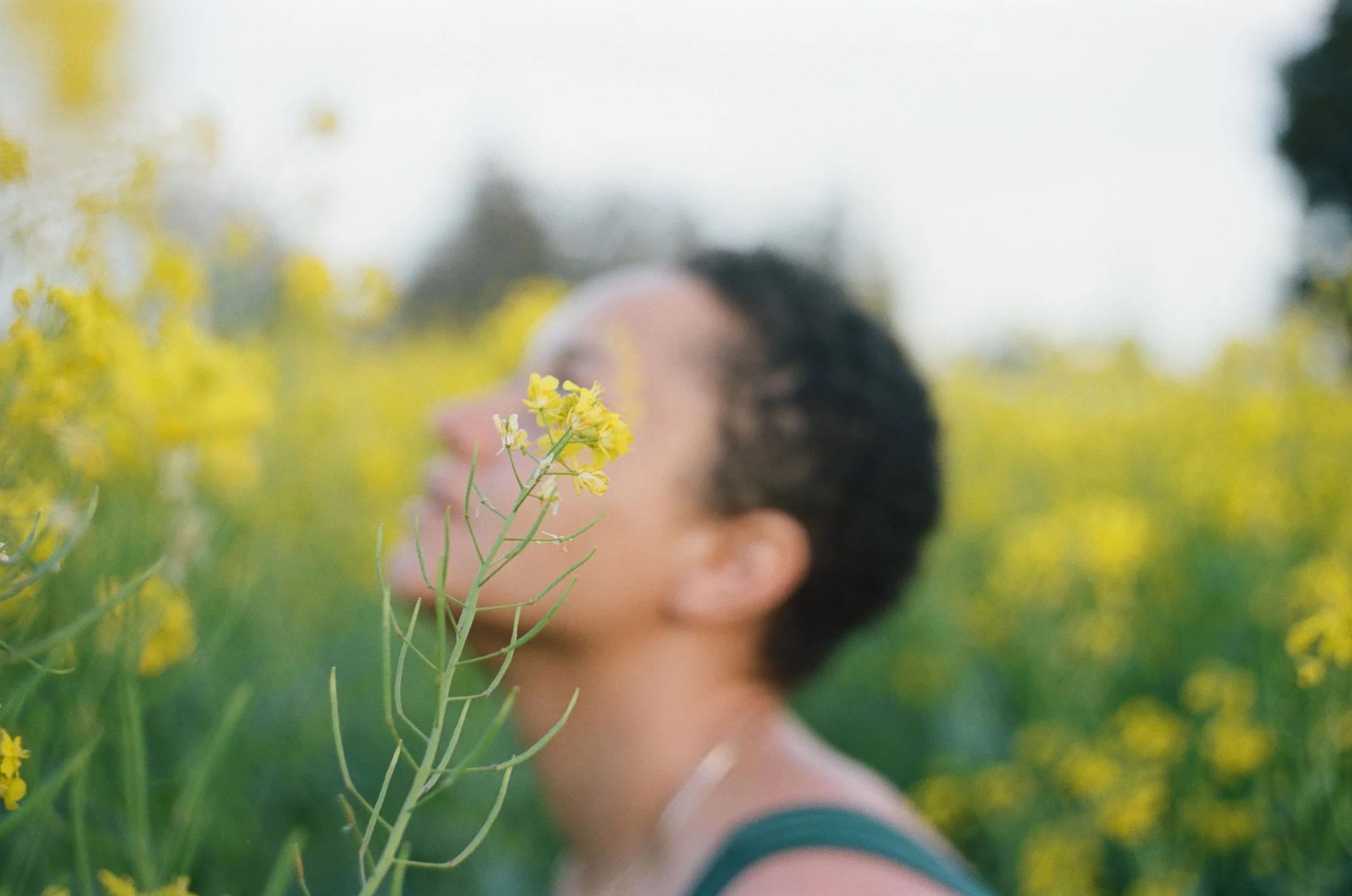A Mustard Field Portrait Session