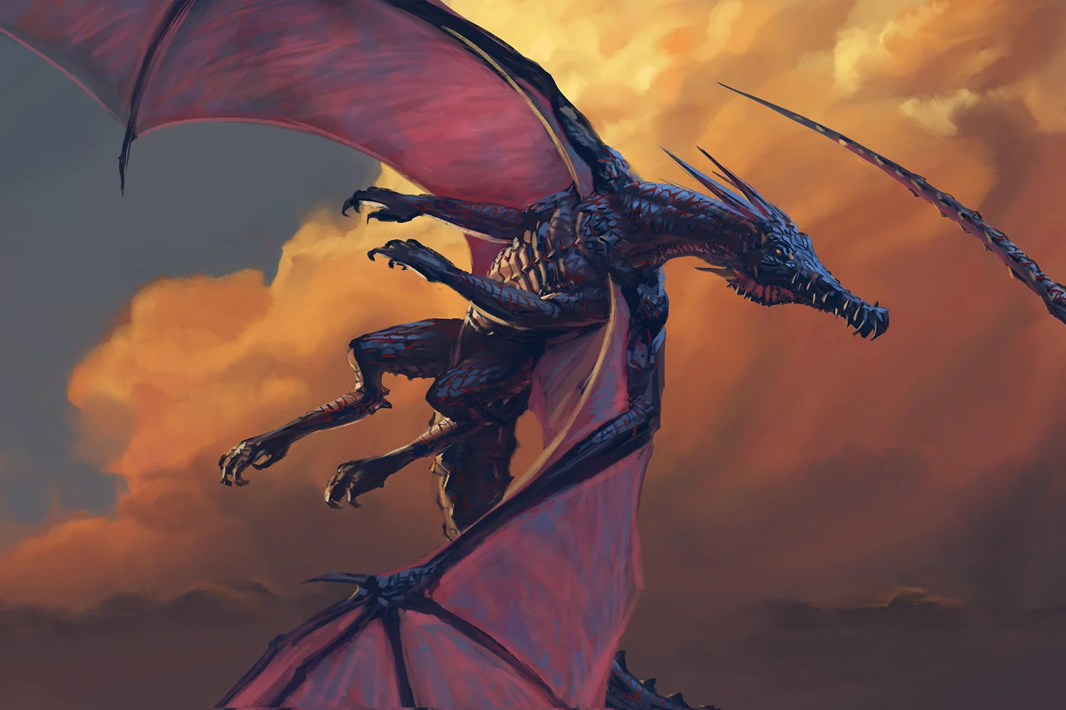 Swift Dragon Correct Proportions.jpg