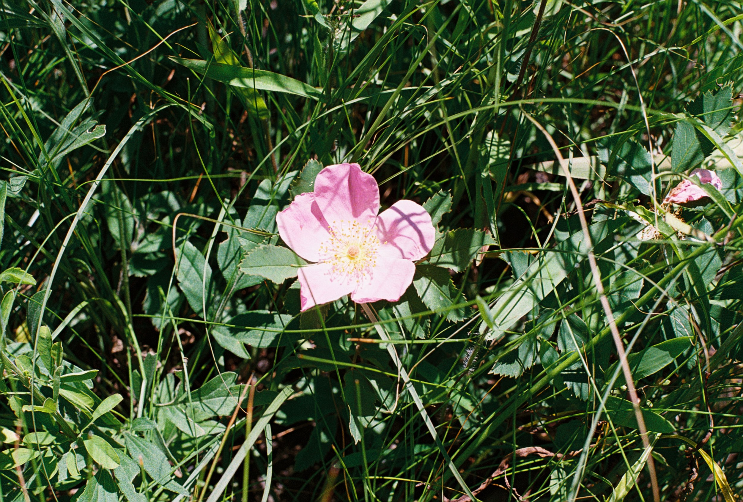 R1-07920-031A.JPG