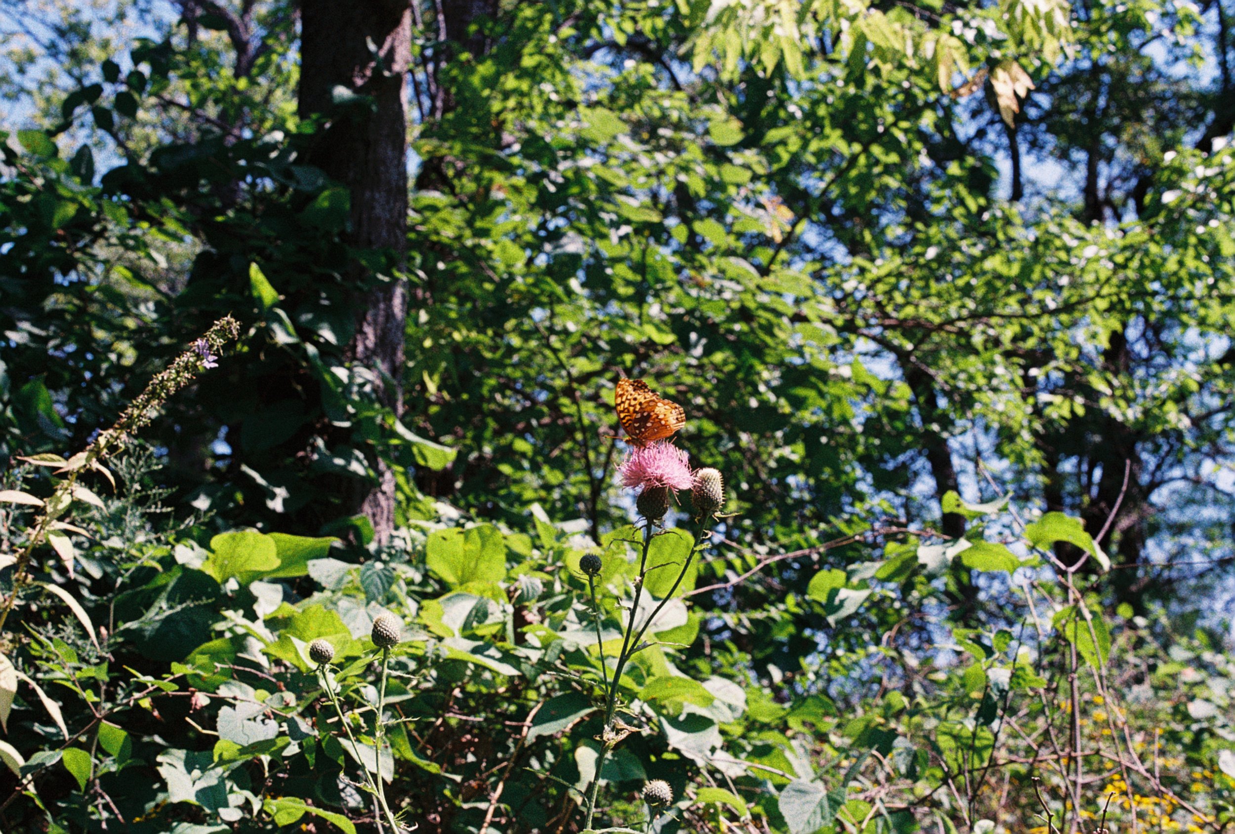 R1-05106-033A.JPG