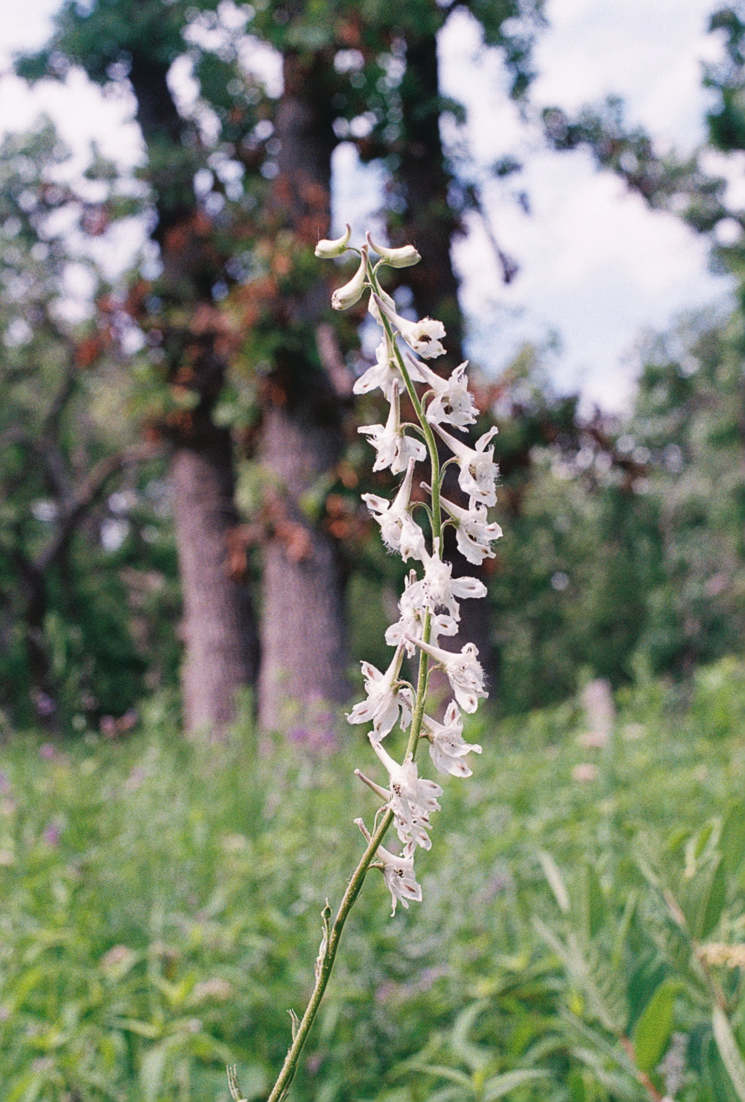 R1-07920-019A.JPG