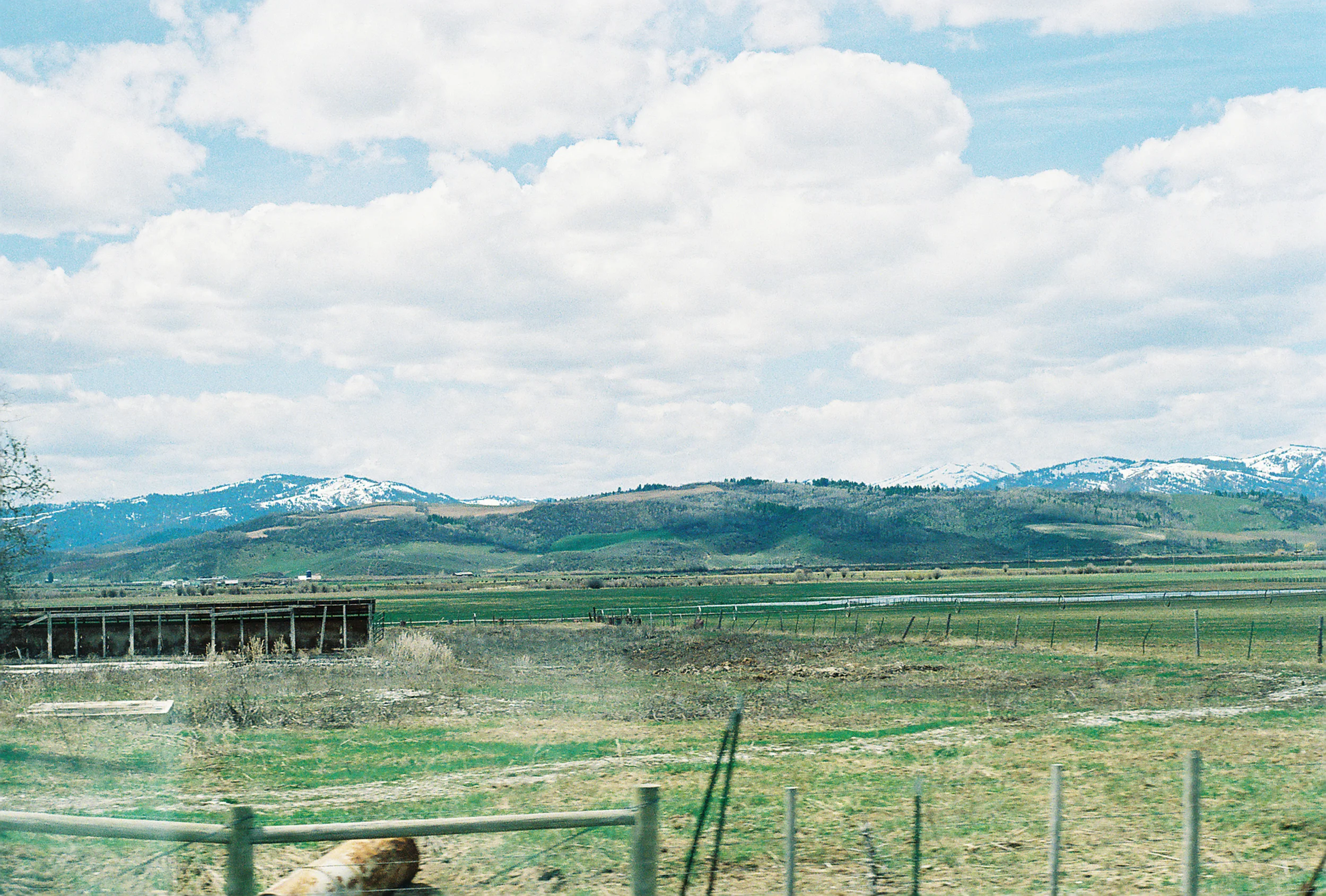 idaho.JPG