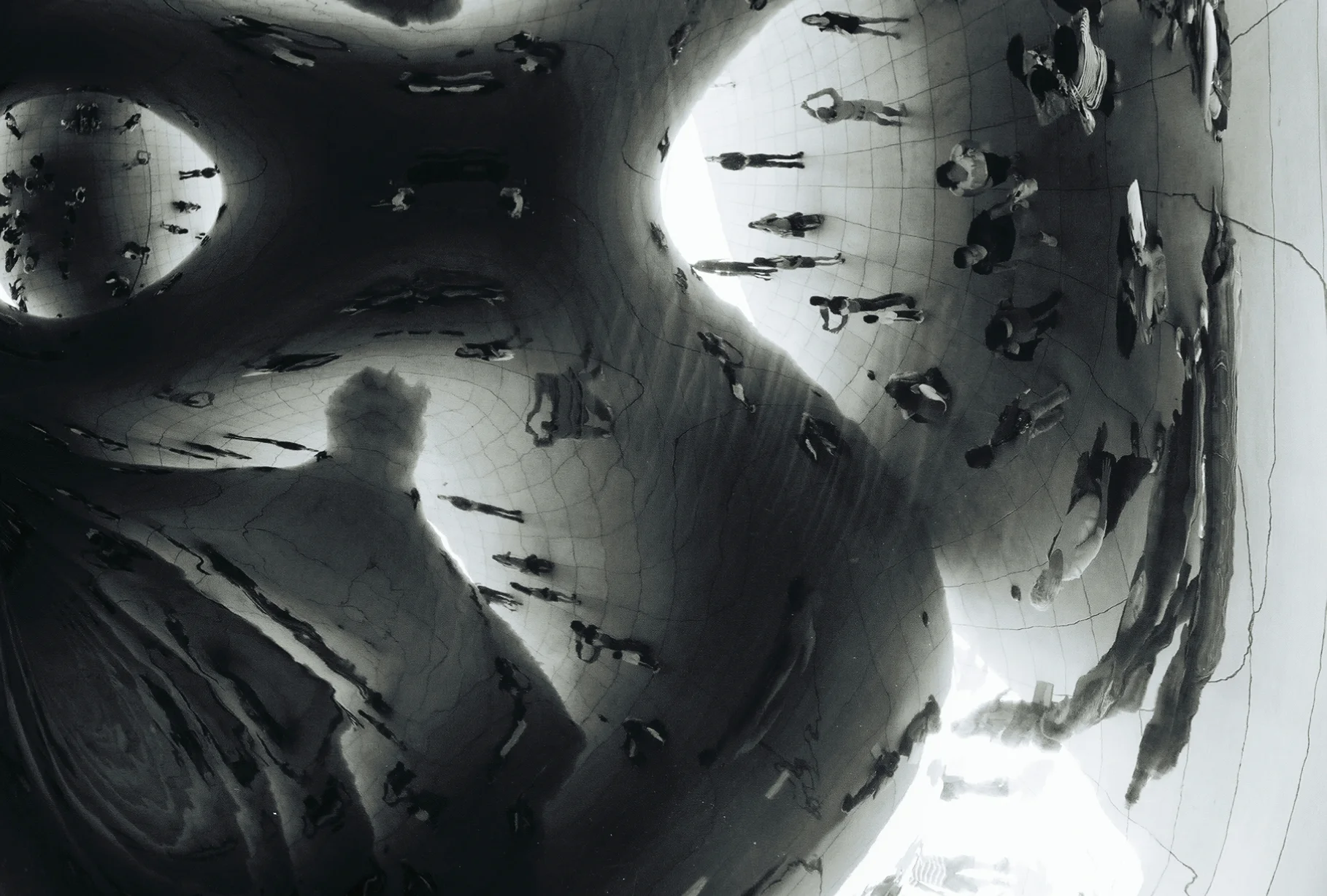 millenium park scultpure_chicago illinois_2009.jpg