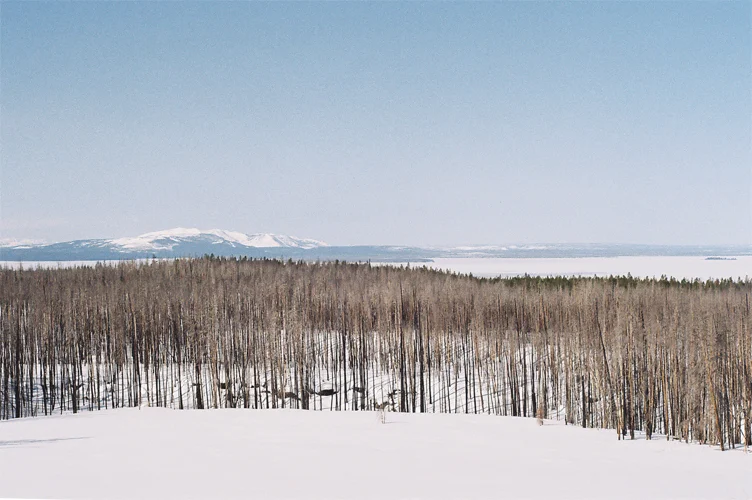 yellowstone_1.jpg