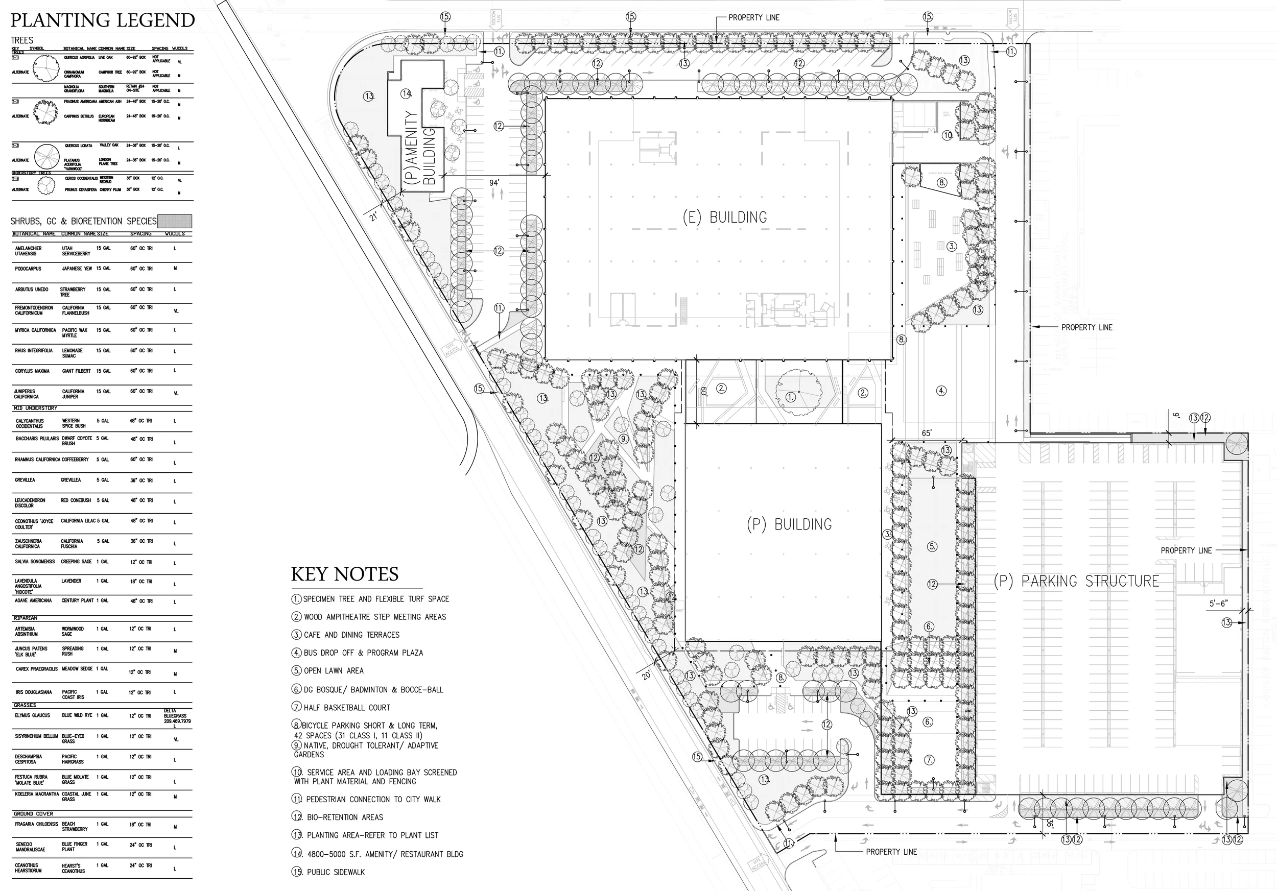 SITE PLAN SUBMITTAL.JPG