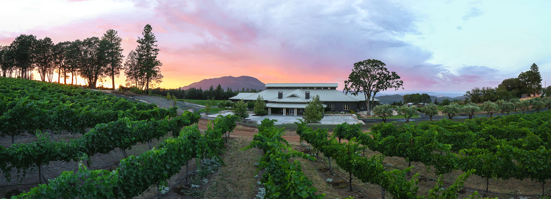 boatique_winery.png