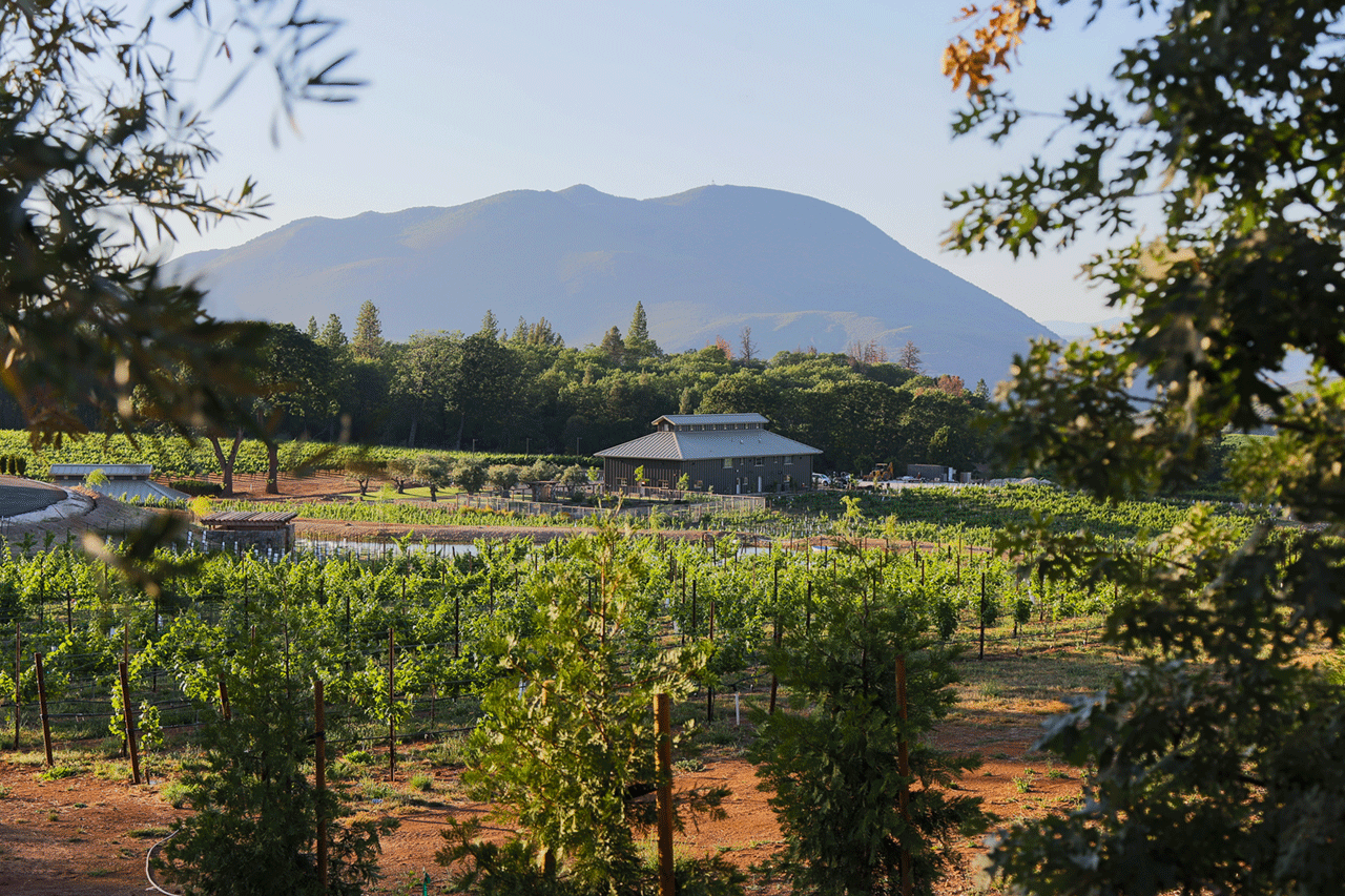 boatique_winery_1.png