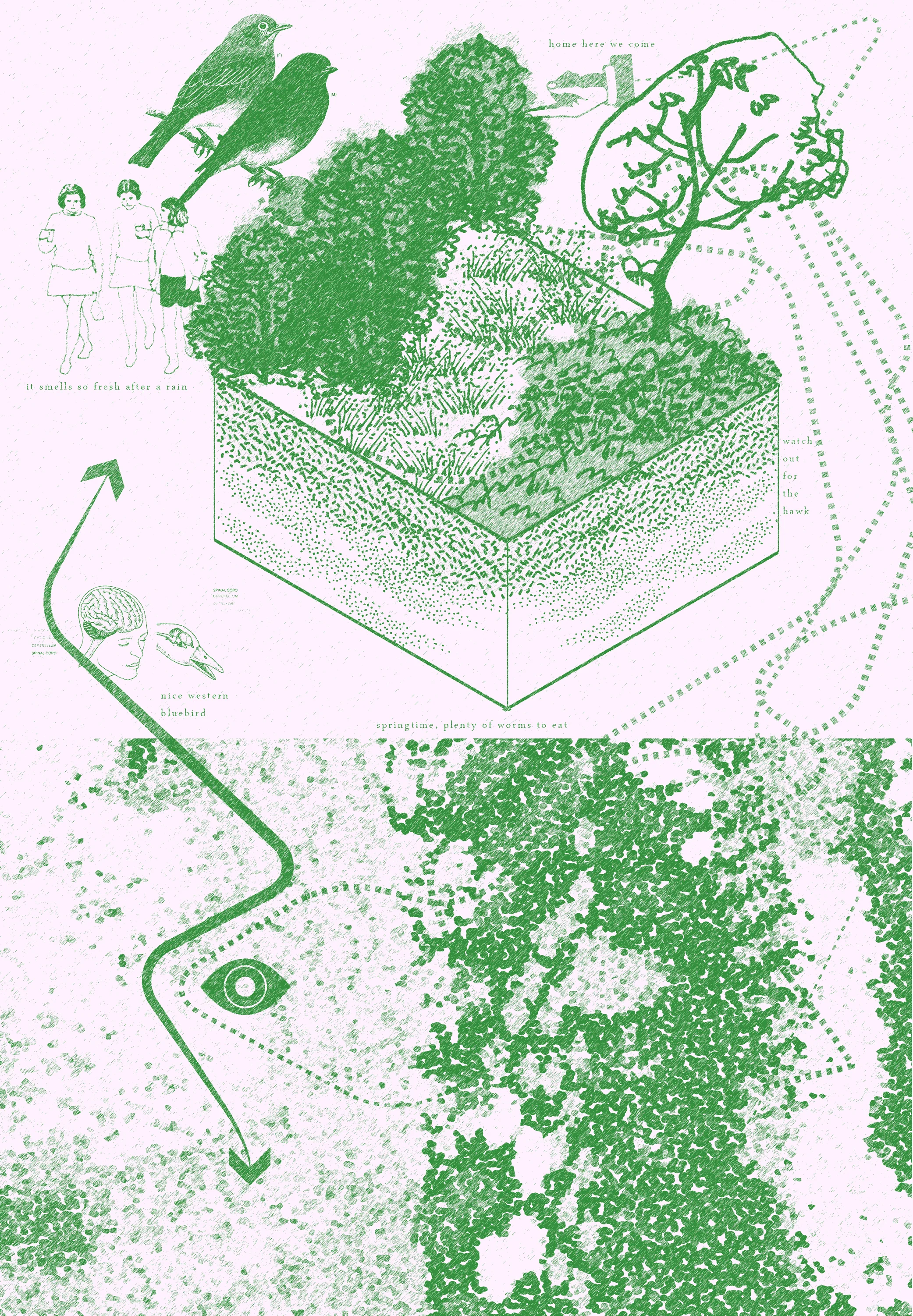 Aleatoric shrubberism