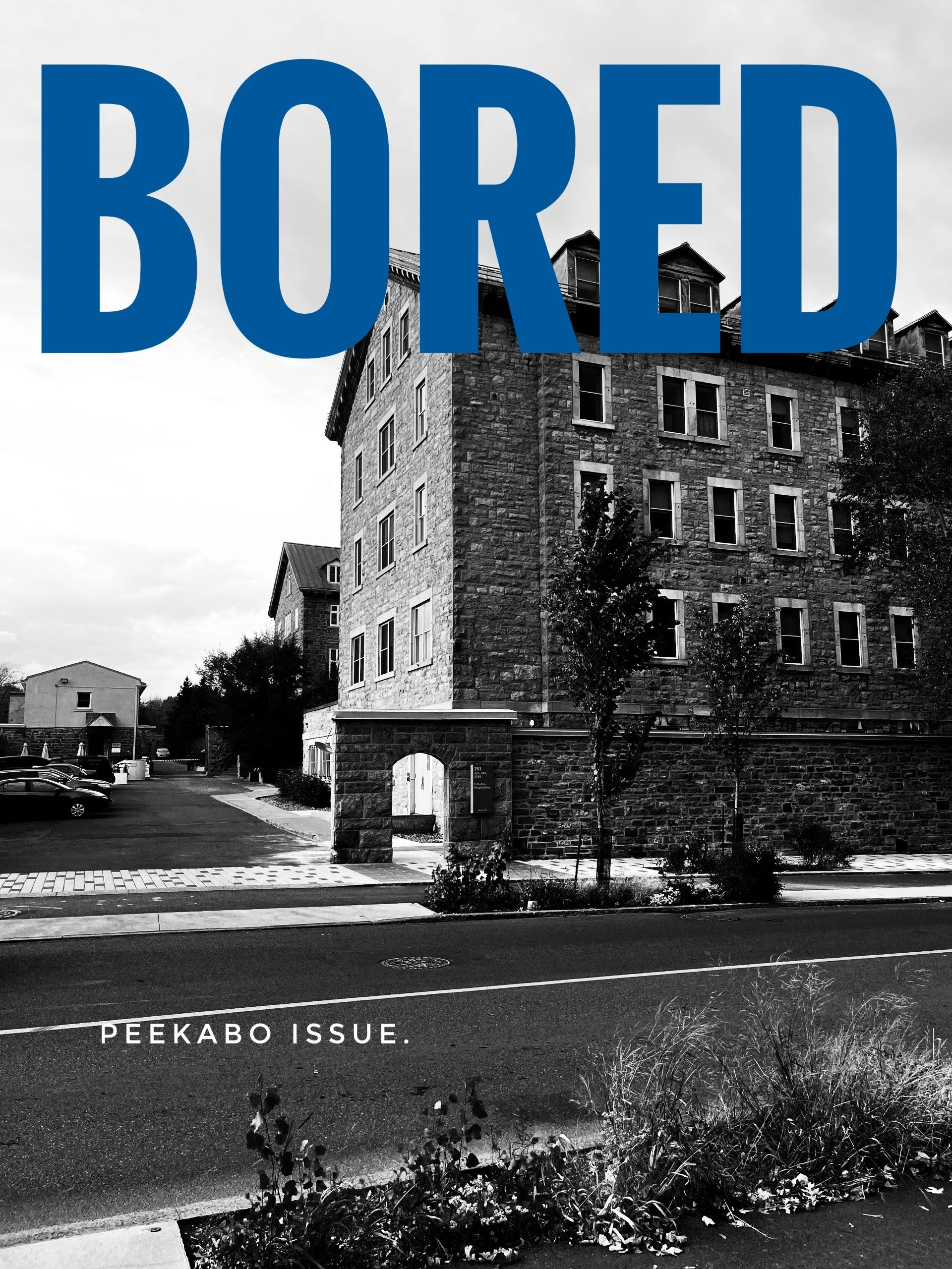 e36e055a-bfbd-4339-bdaf-bf6ad9dc2922.jfif