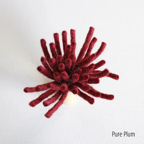 plum (1).jpg