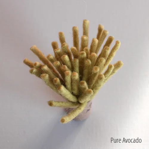 advocado copy.jpg