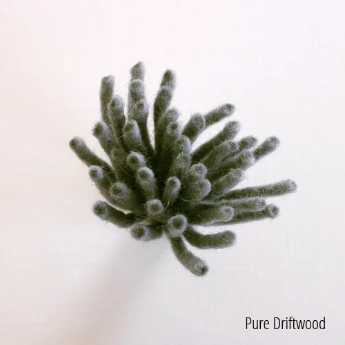 driftwood1.jpg