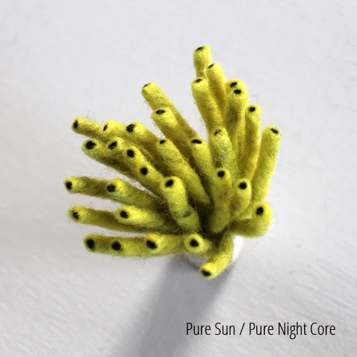 Pure Sun, Pure Night core.JPG