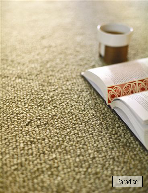 Carpet_Paradise.jpg