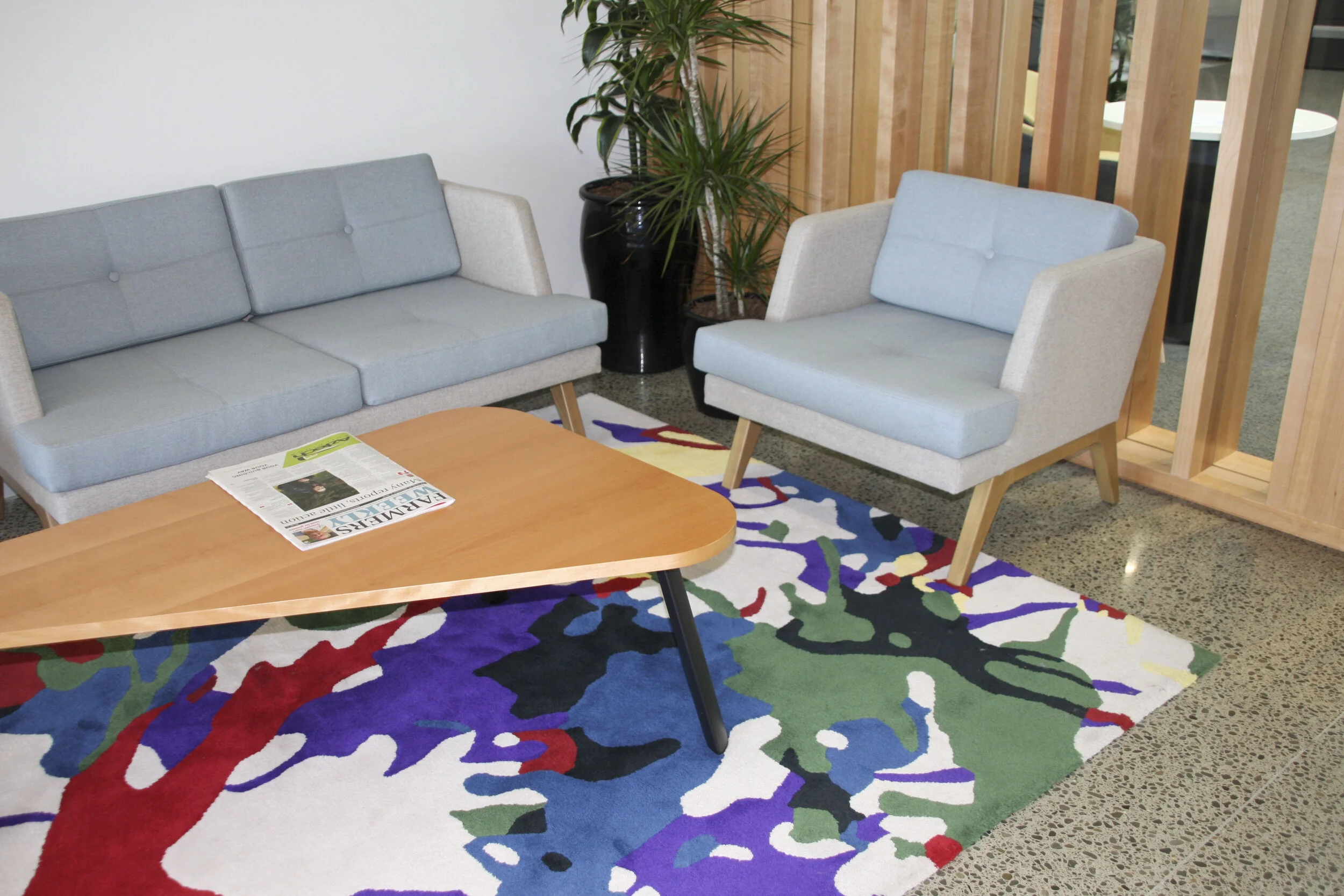 Splash rug CRONZ_Rug patterned_commercial rug gallery11.JPG