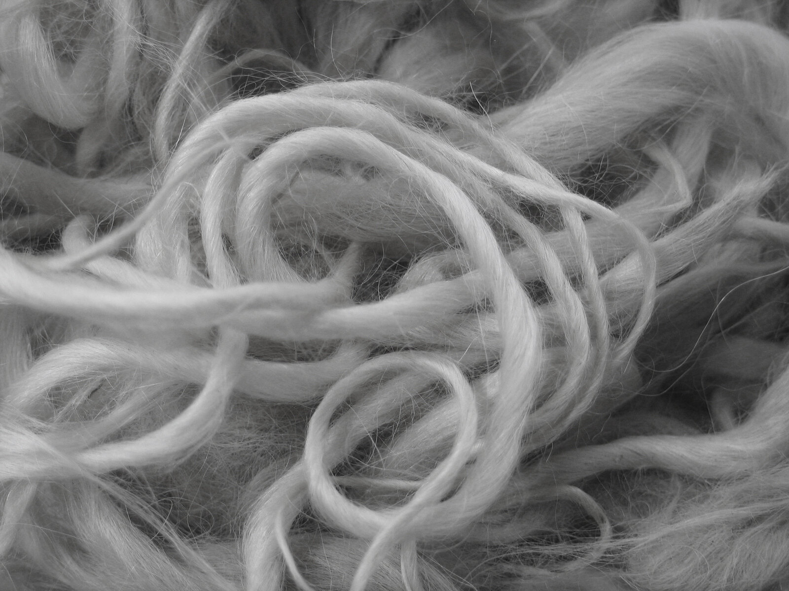 CRONZ_Wool fibre.jpg