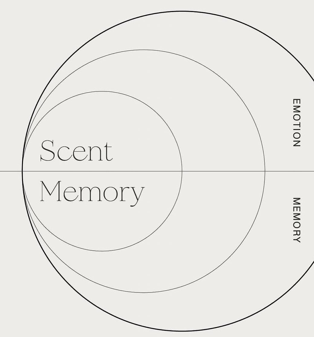 scent, emotion and memory are intertwined⁣

⁣
image via @thenandnowspaces 
⁣
⁣
⁣
⁣
⁣
⁣
⁣
⁣
⁣
⁣
⁣
⁣
⁣
⁣
⁣
⁣
#scent #instagood #aromatherapy #scentcreation #香りを楽しむ #customscents #peaceofmind #japanworkshop #aromaterapy #香水コレクション #アロマワークショップ  #好きな香り  #t