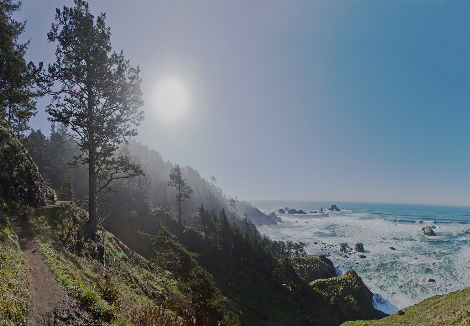View of Pacific Ocean from cliff side, Indian Head Beach area/Cannon Beach area, Oregon