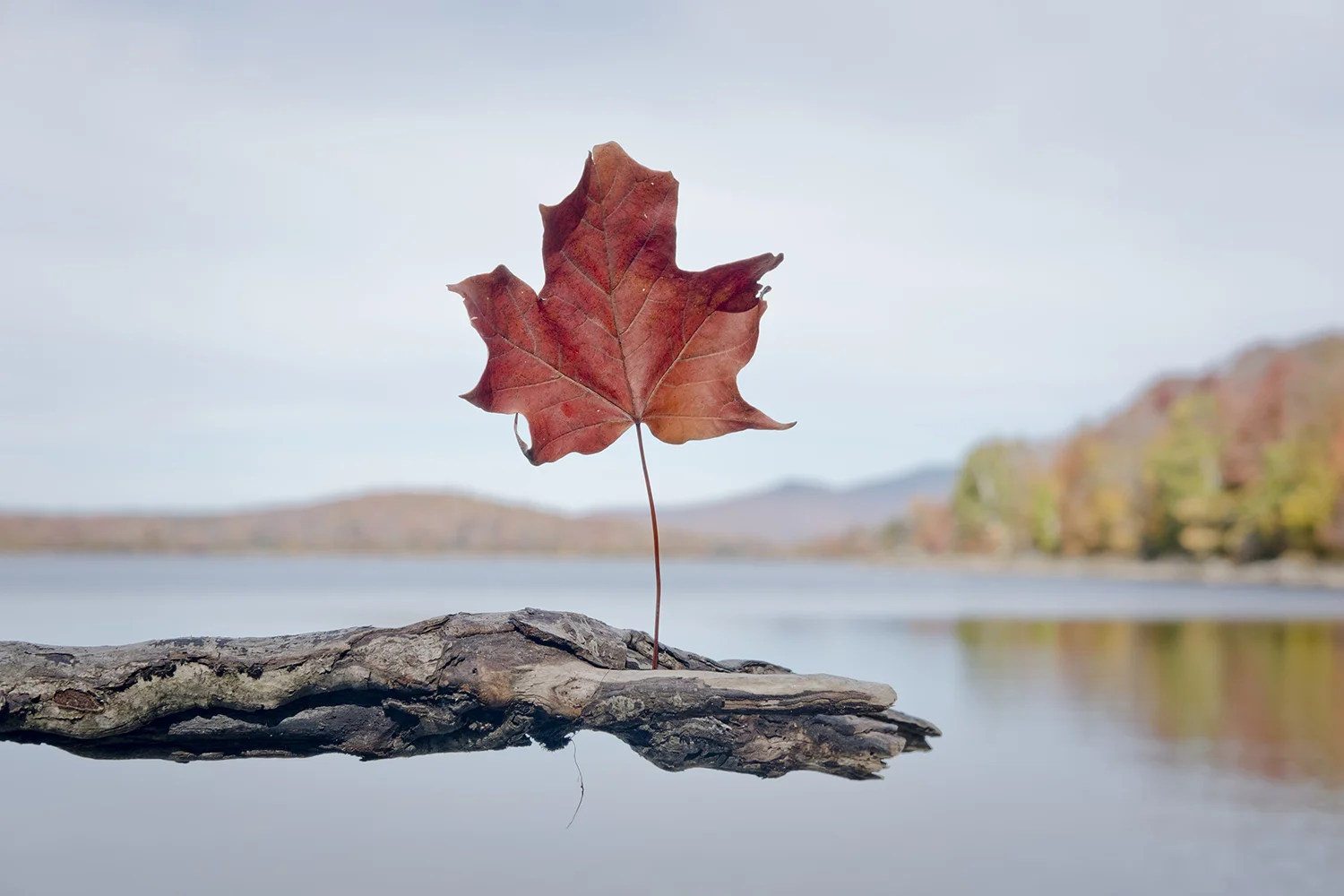 Somerset Reservoir, Vermont