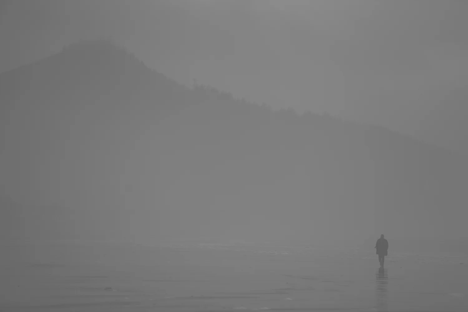 _MG_7829.jpg