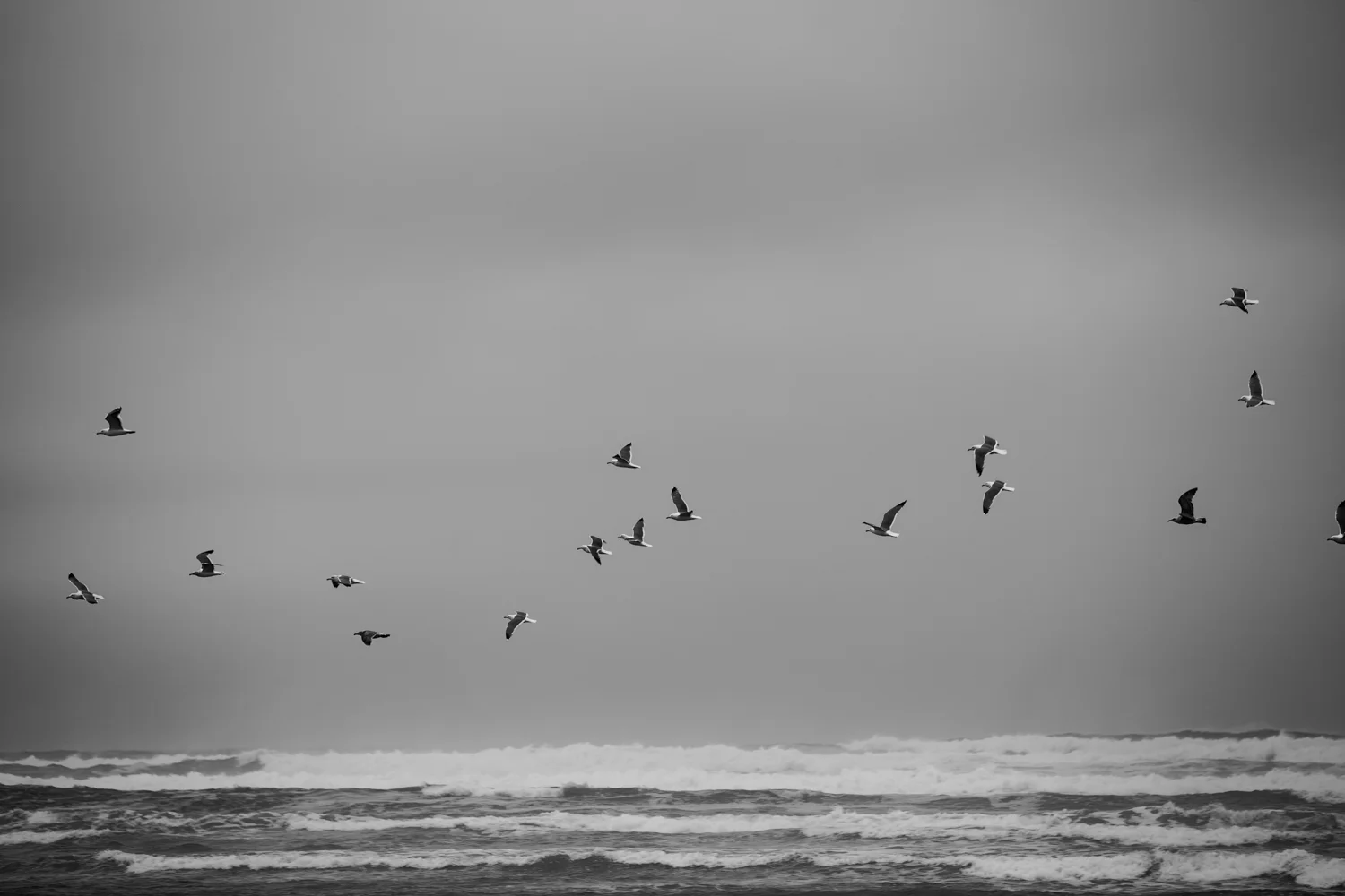 _MG_7897.jpg