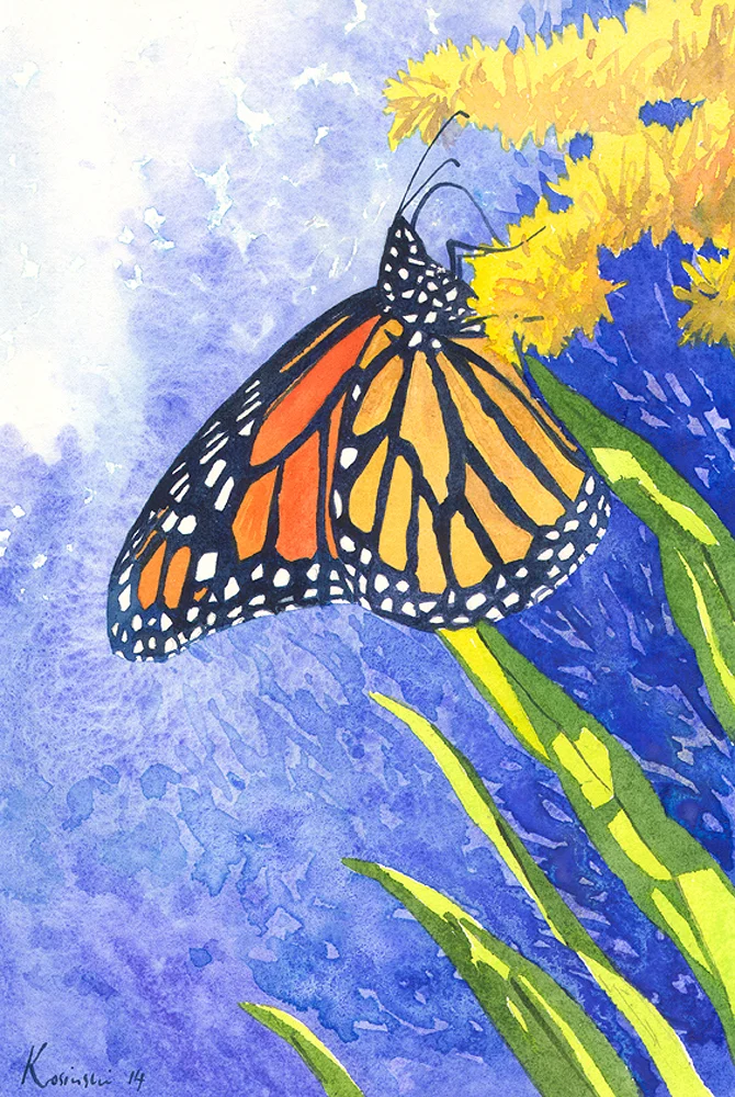  Monarch Butterfly