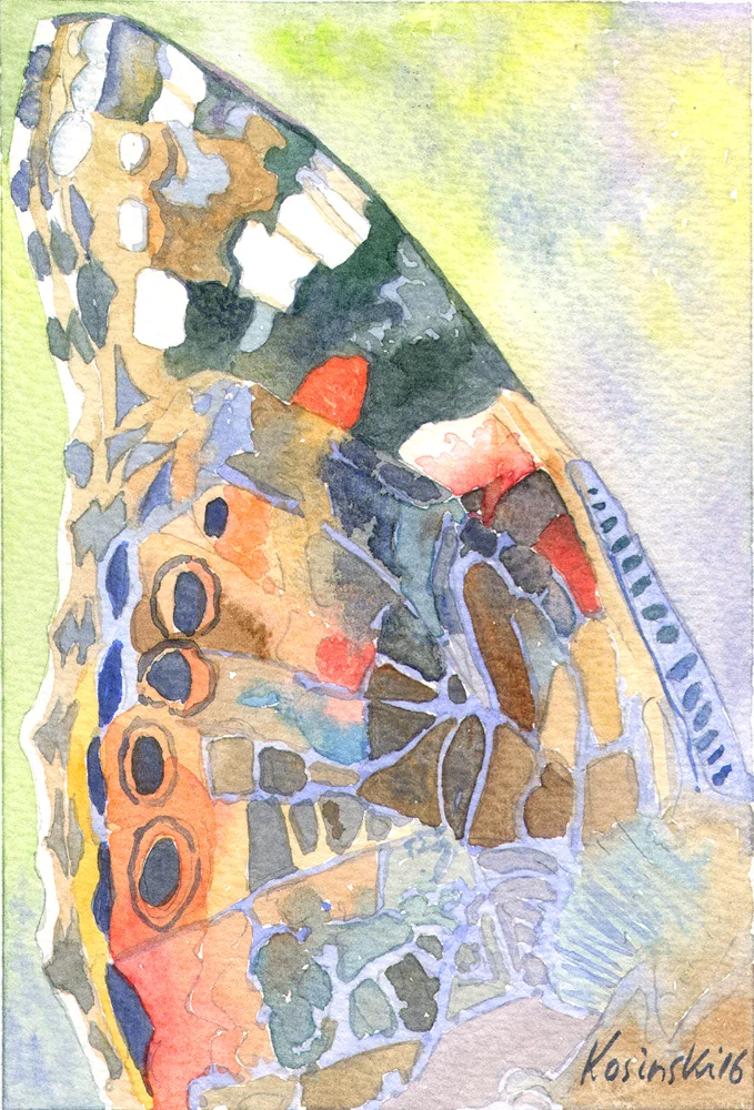 Painted Lady Butterfly Wing