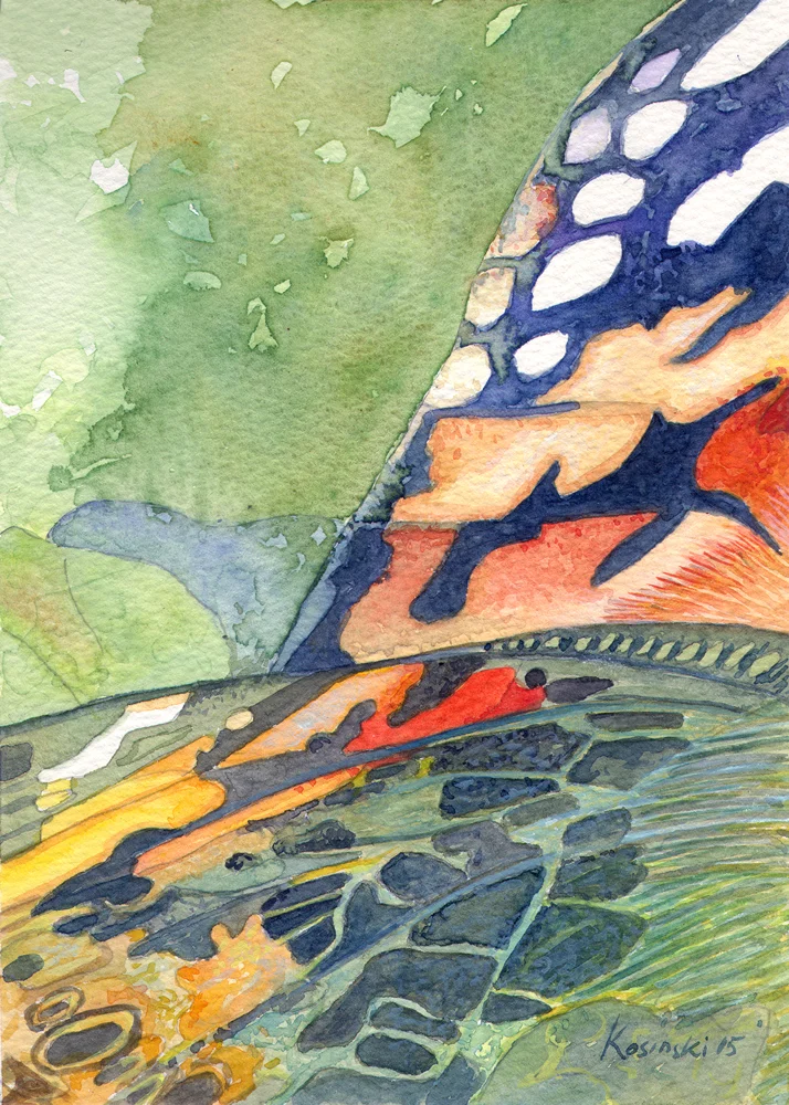 Watercolour Watercolor Original Painting Butterfly, Painted Lady