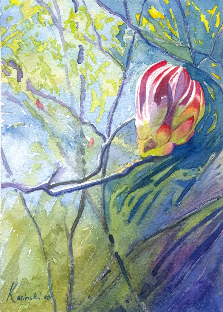 Watercolors Watercolours Original Artwork of Flowers Azalea