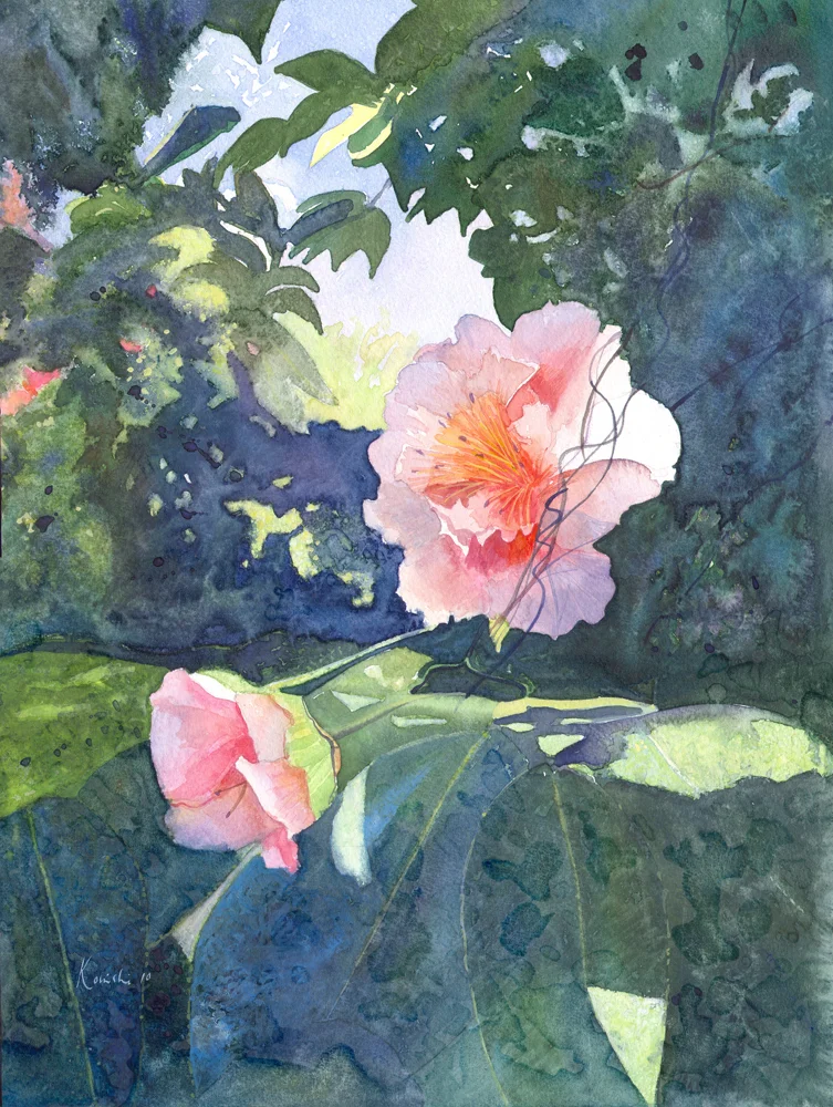 Watercolor Watercolours Original Flower Paintings Camelia