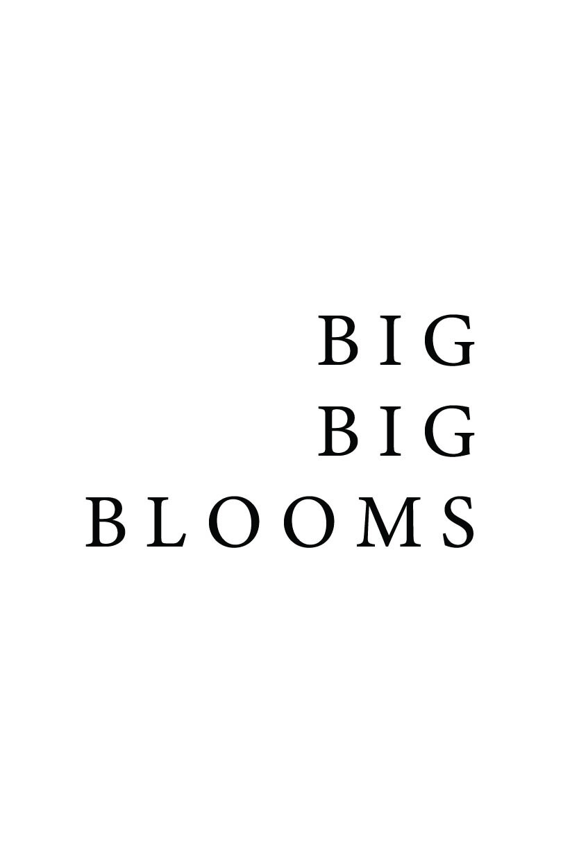 BIG BLOOMS-01.jpg
